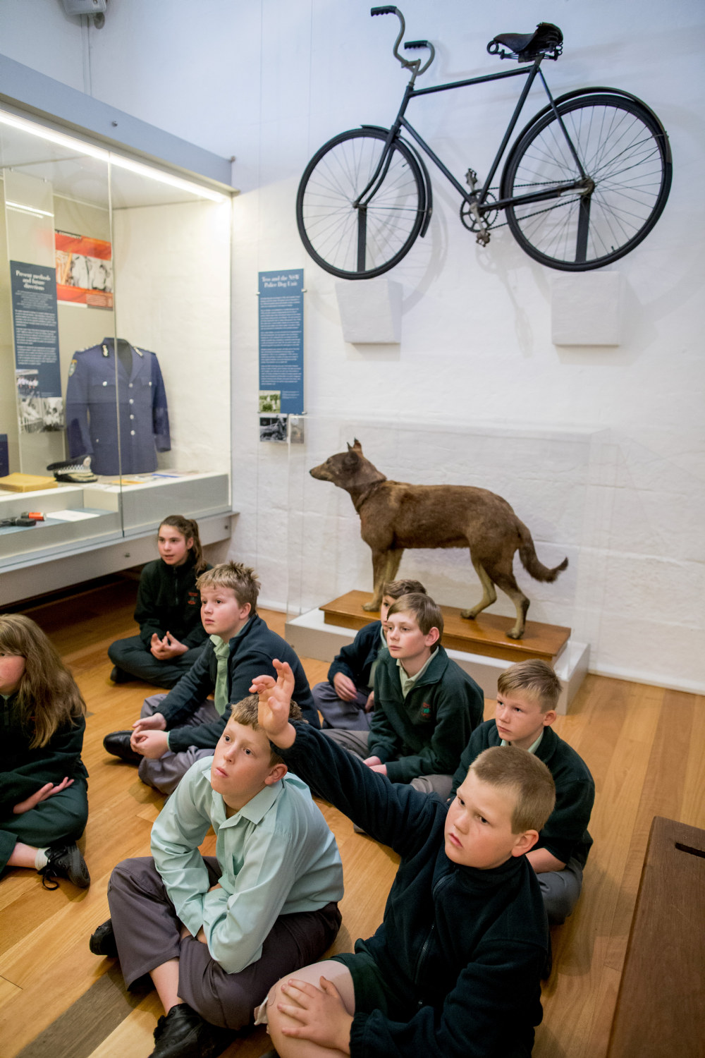 Students participating in the Bailed Up! program at the Justice and Police Museum seated in front of Tess, the first NSW Police Dog, who died in 1942