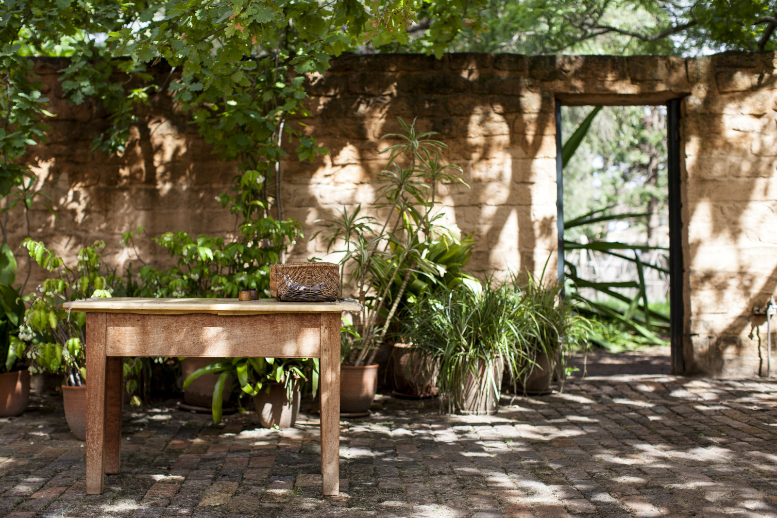 Table in oak tree courtyard at Elizabeth Farm