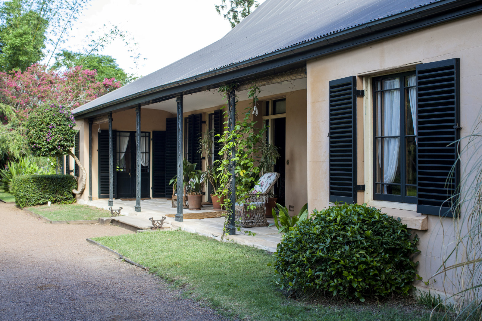 Elizabeth Farm house - front verandah and carriageway 