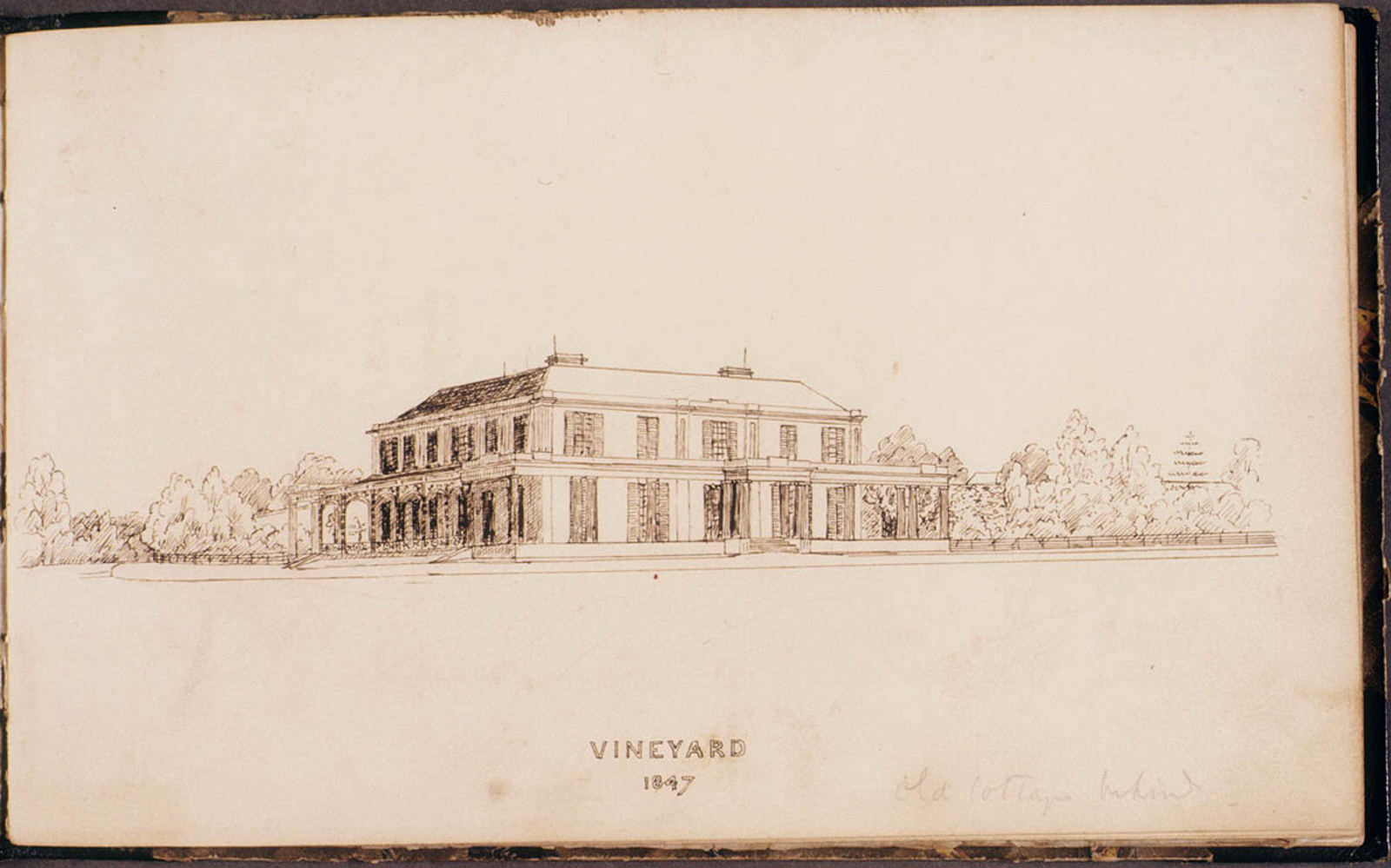Vineyard 1847
