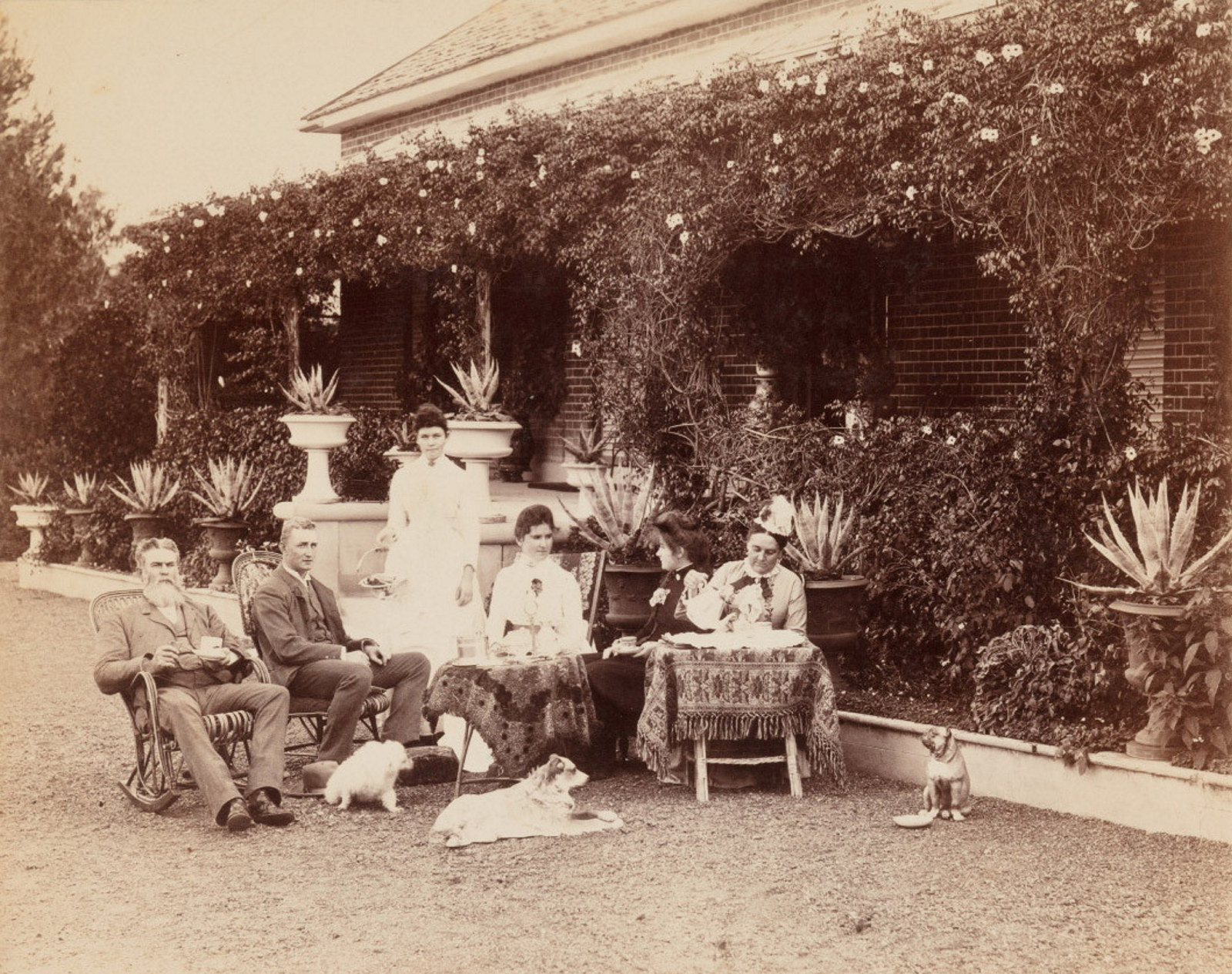 Cook family on the driveway in front of Turanville near Scone / photograpjed by Joseph Check, 1889.