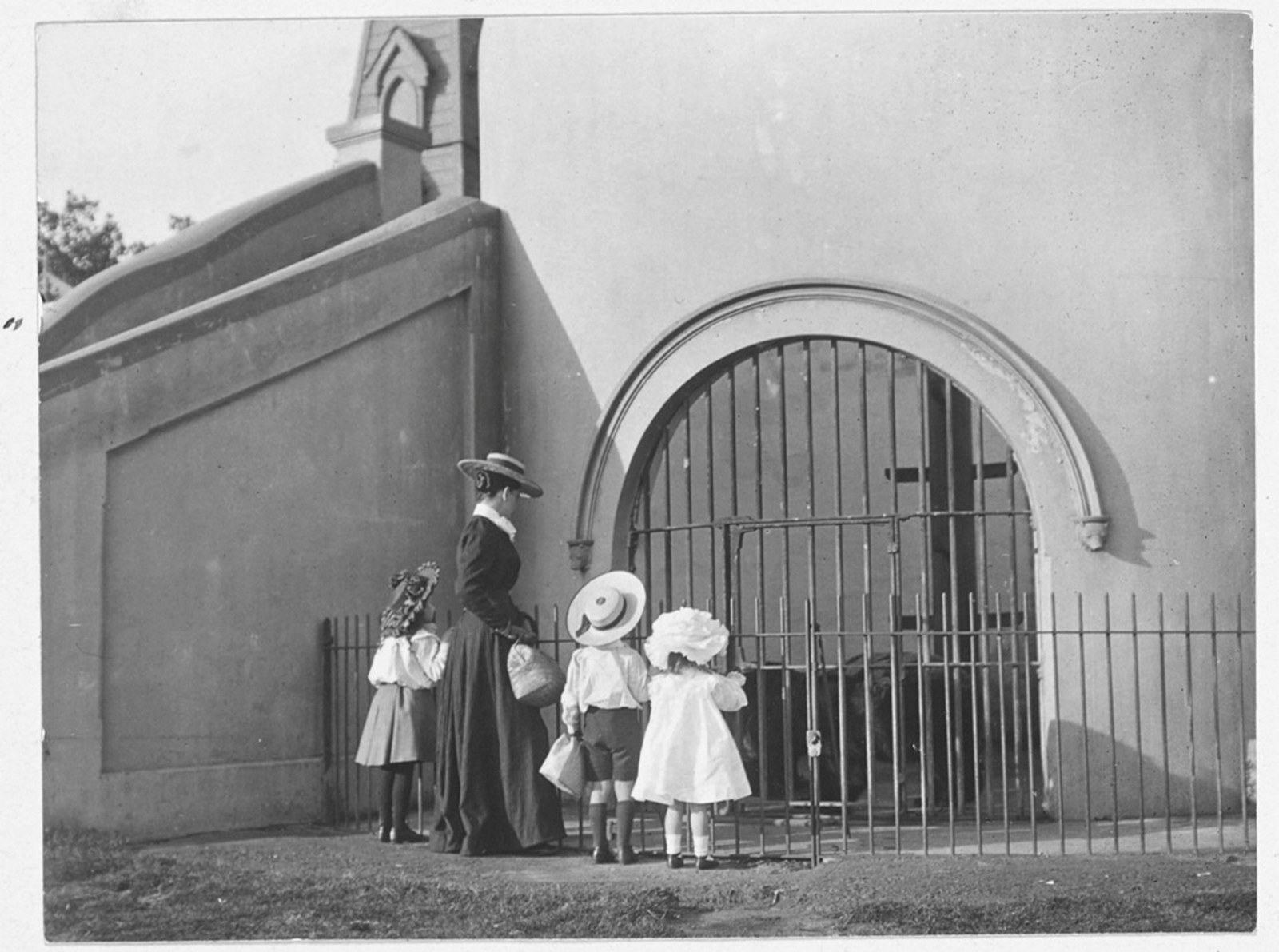 Children peering into a bear pit enclosure at Sydney Boys and Sydney Girls high schools.