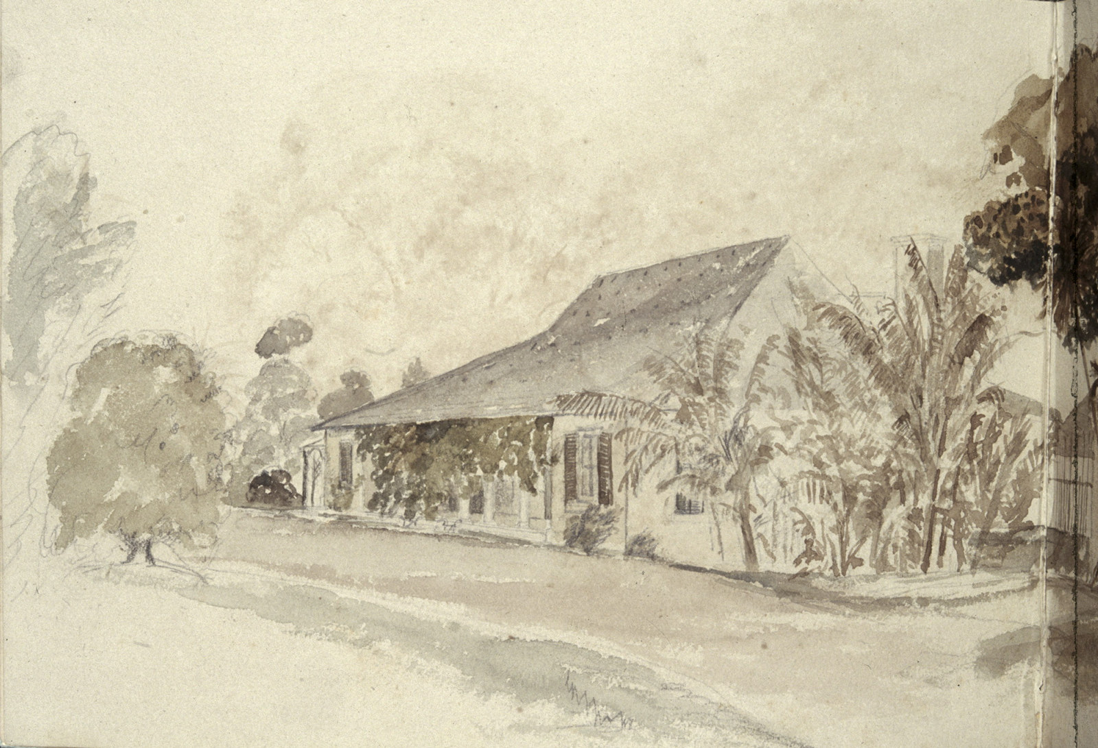 Watercolour of colonial era house with trellised verandah and trees.