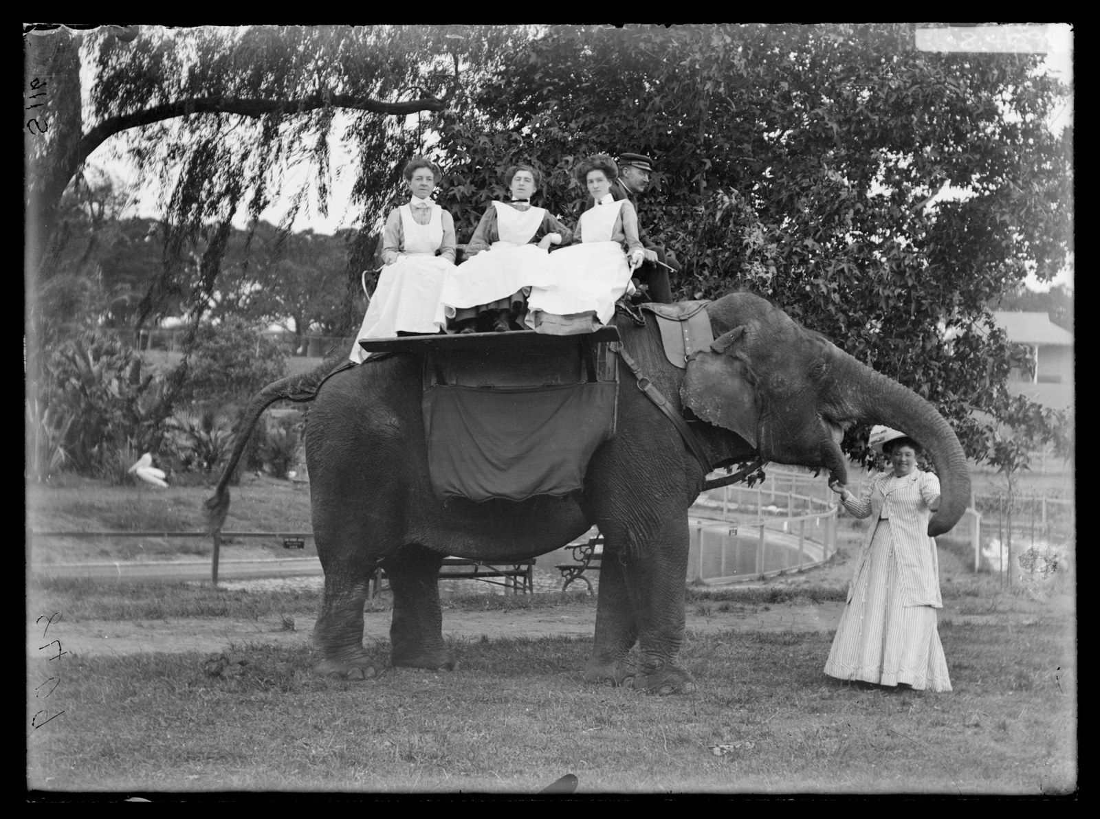 Three women sit on top of an elephant at Moore Park Zoological Gardens