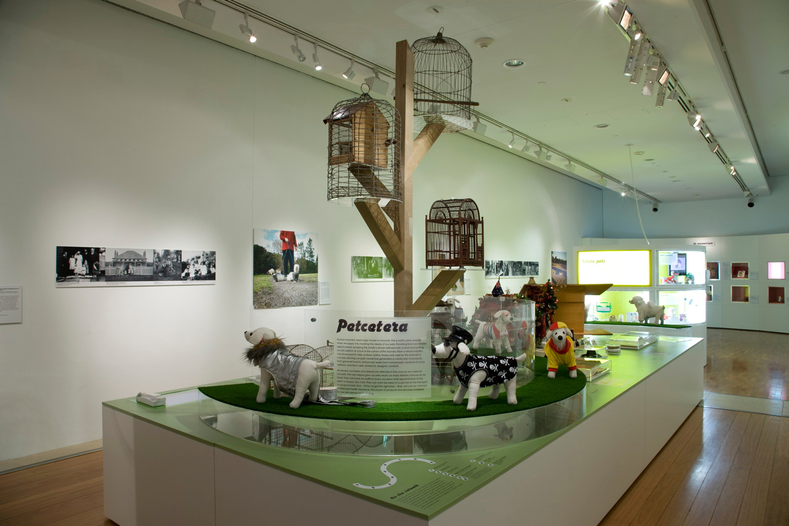 Tails of the city: Sydney's passion for pets installation view