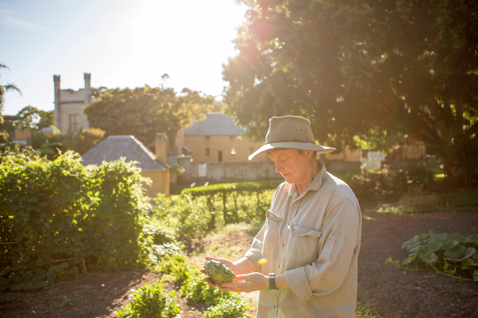A woman (Anita Rayner) inspects a piece of fruit in the VH kitchen garden. The house can be seen in the background.