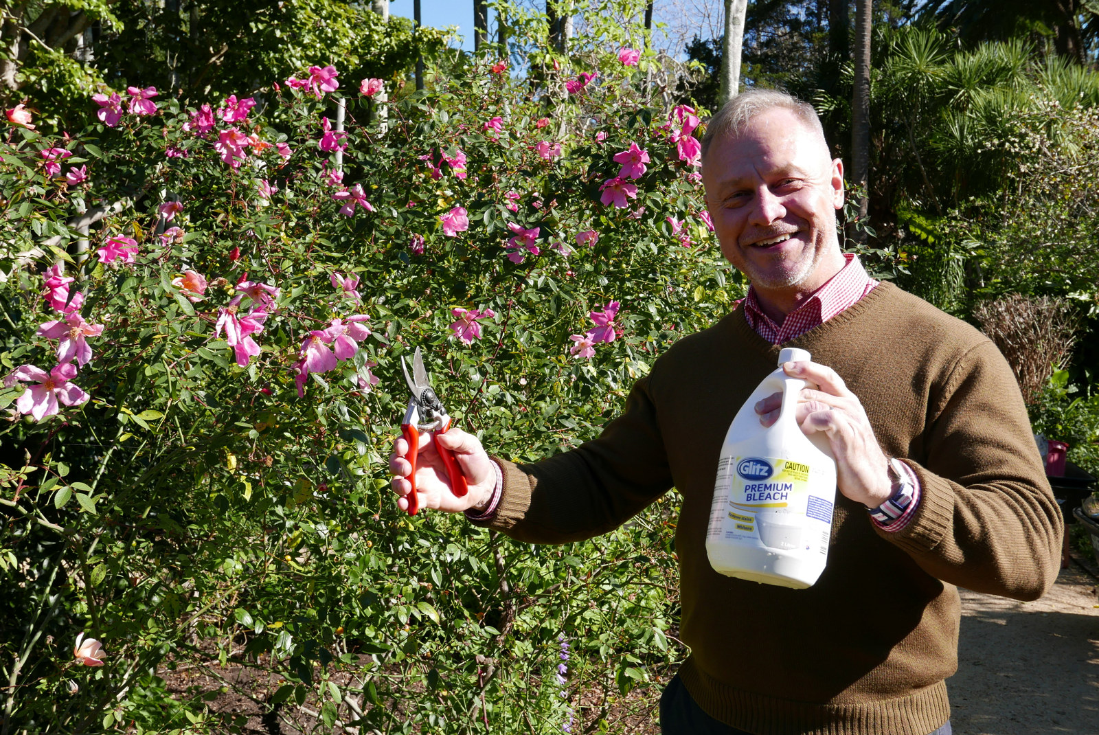Ian Innes with the bleach and his secateurs before we start pruning