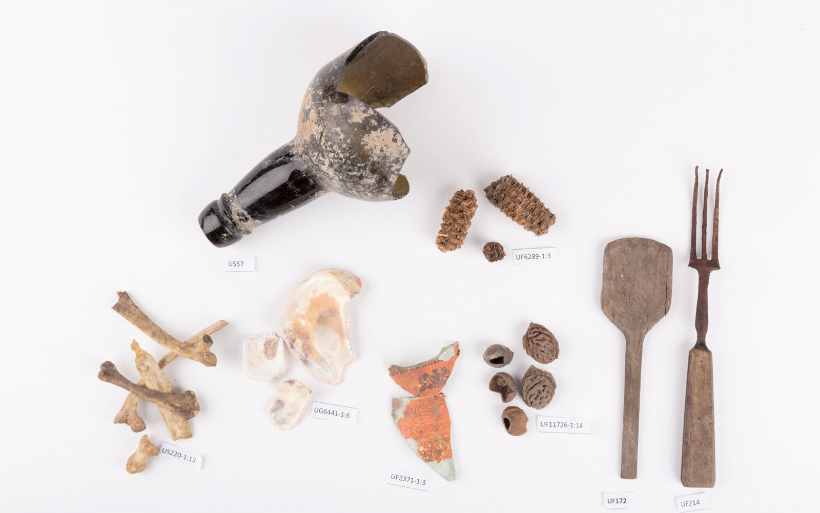 Bottle fragments, corn cobs, bones, oyster shells, seed kernels, spoon and fork
