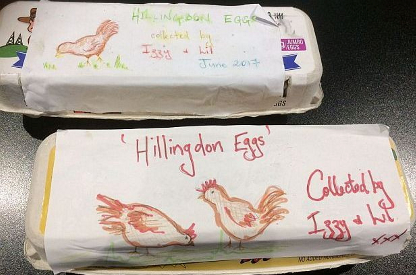 Box of eggs with handwritten label.