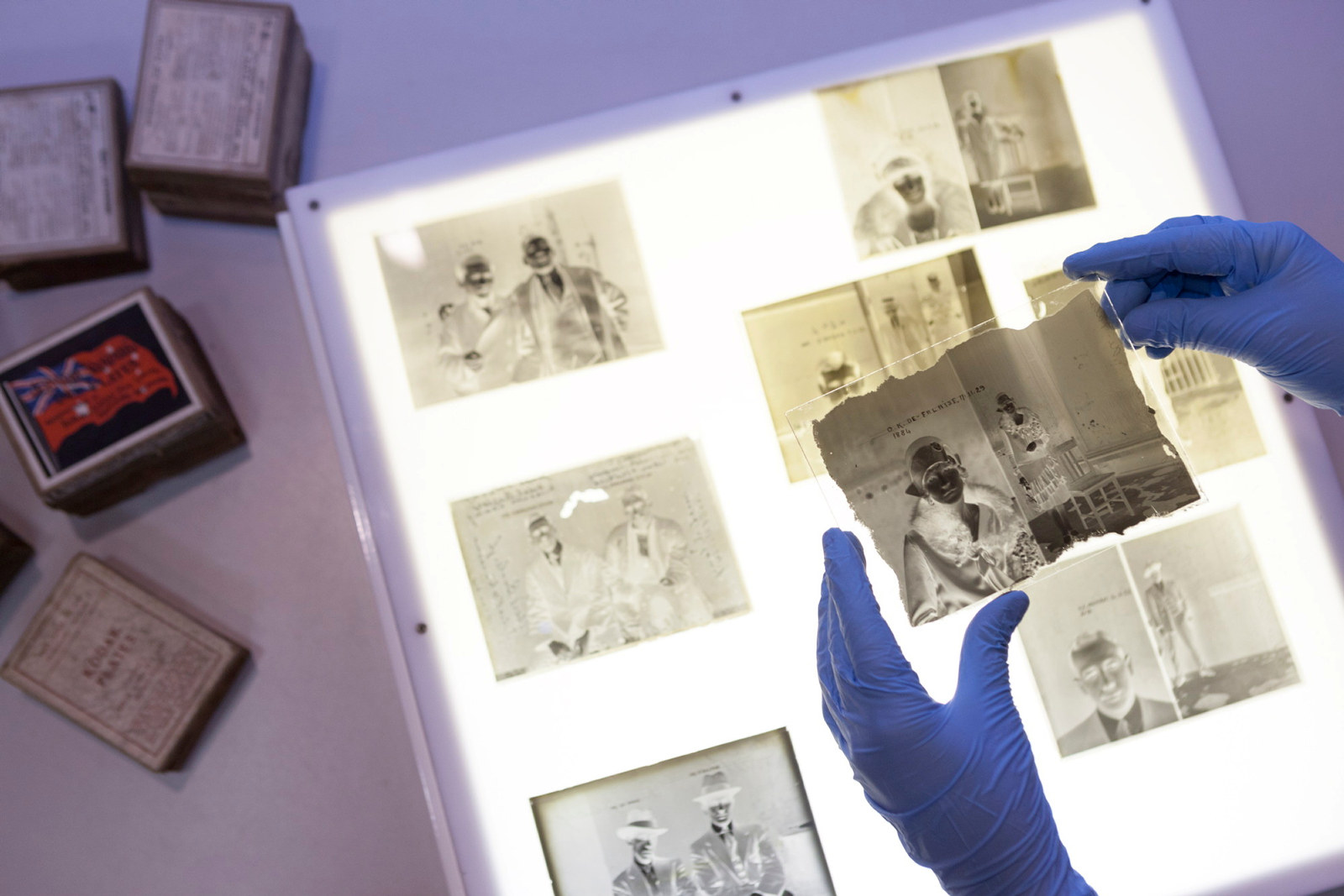 Original glass plate negatives from the NSW Police Forensic Photography Archive arranged on a lightbox.