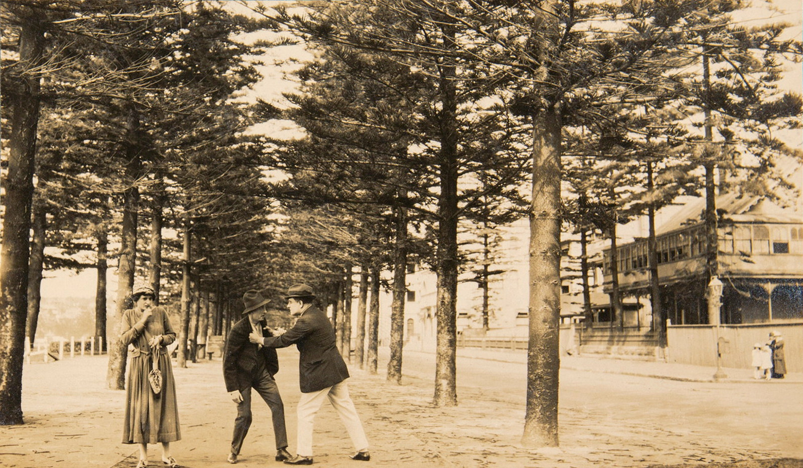 Black and white photo of group on path framed by Norfolk Island pines.