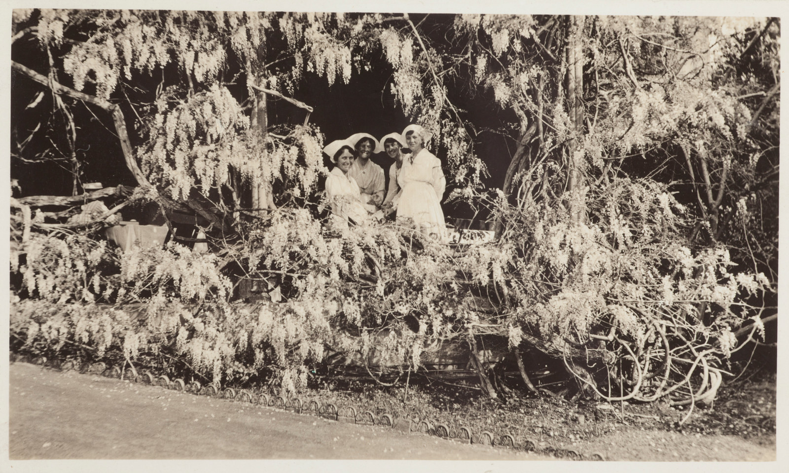 Black & white image of women half hidden by huge blooming wisteria vine.