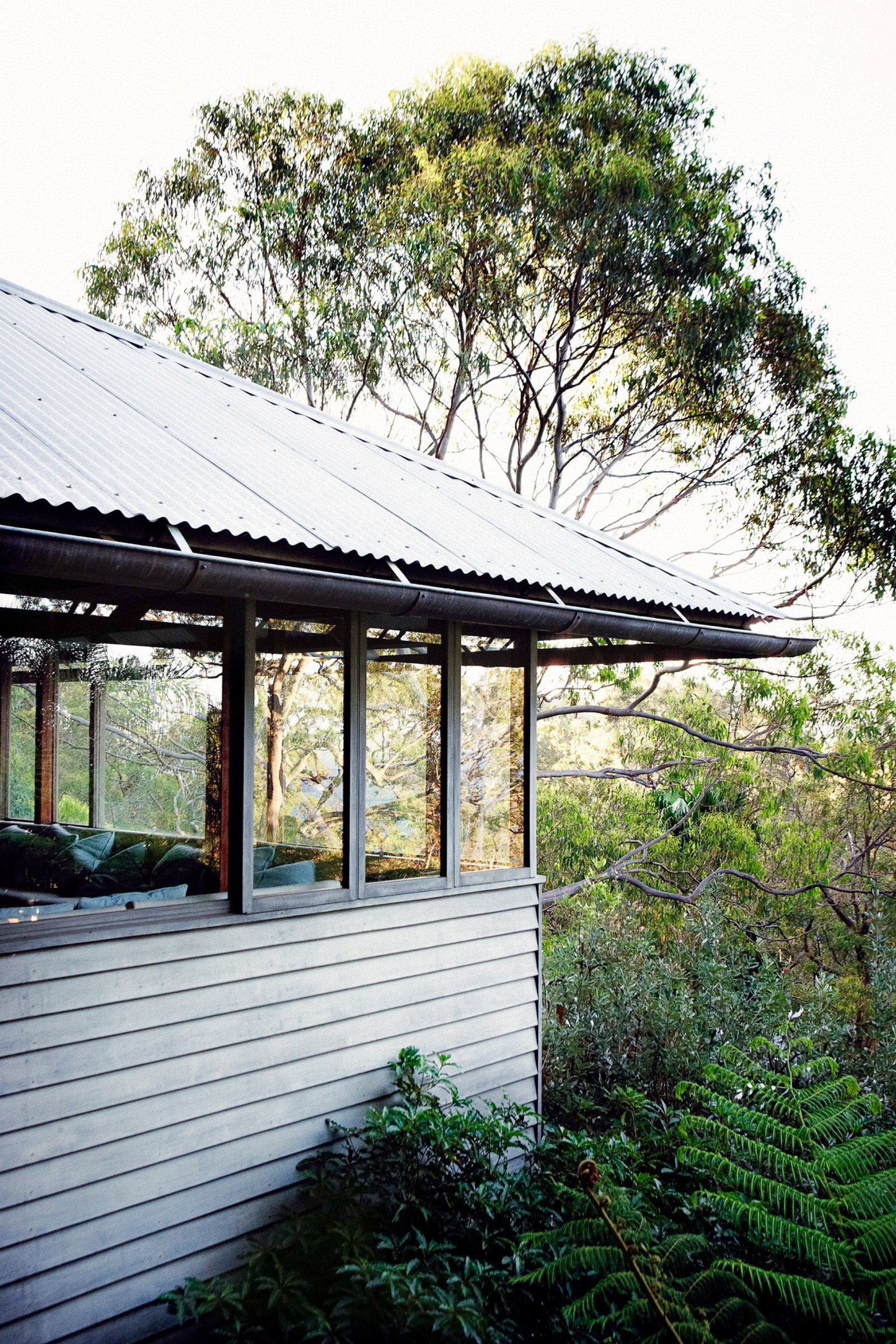 Photograph of a corner of the house with large glass windows, timber cladding and corrugated tin roof. It is surrounded by native tree tops