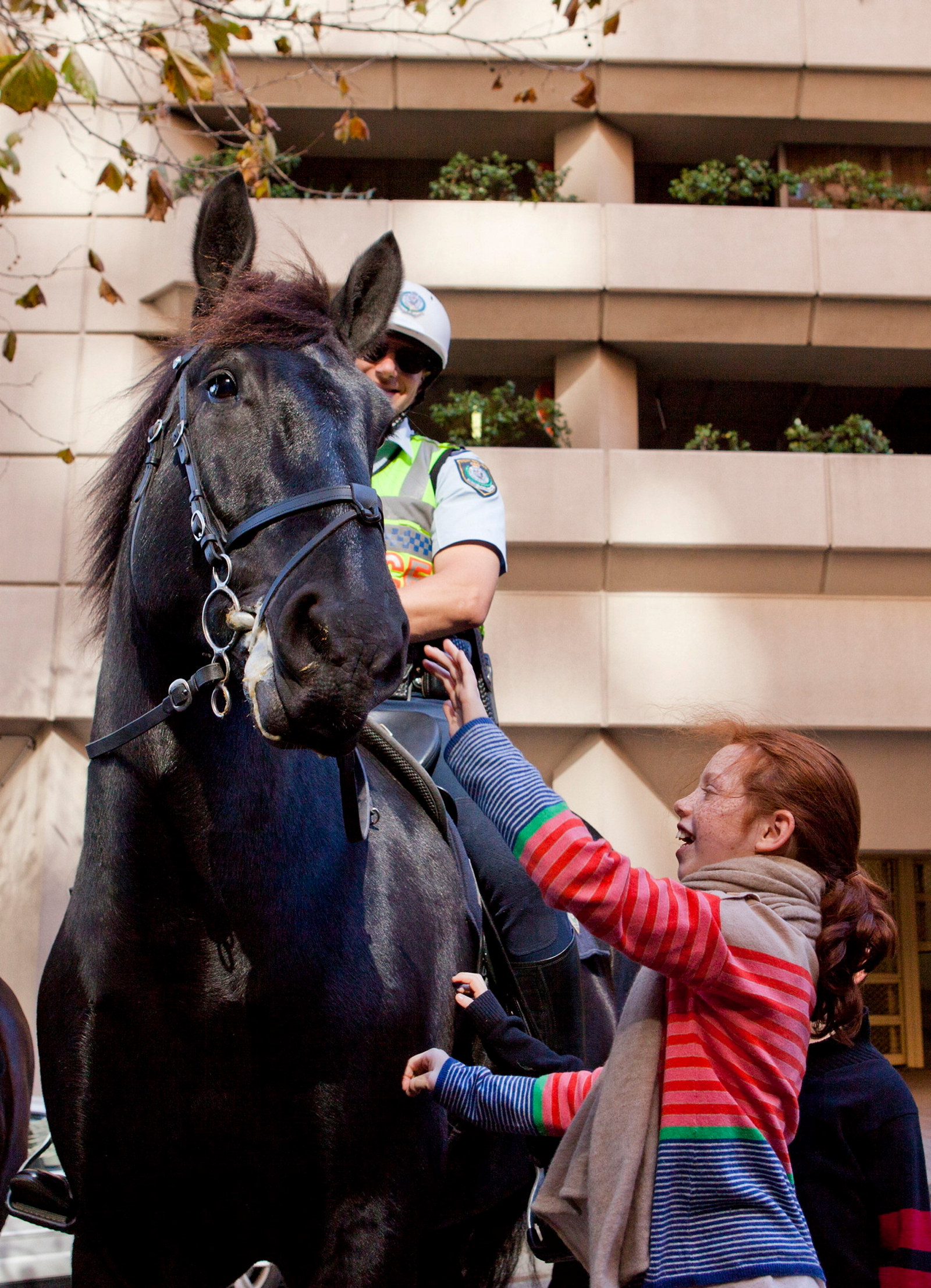 NSW Mounted Policeman Rob Hyde on Troop Horse Rommel with Charlotte outside the Justice and Police Museum.