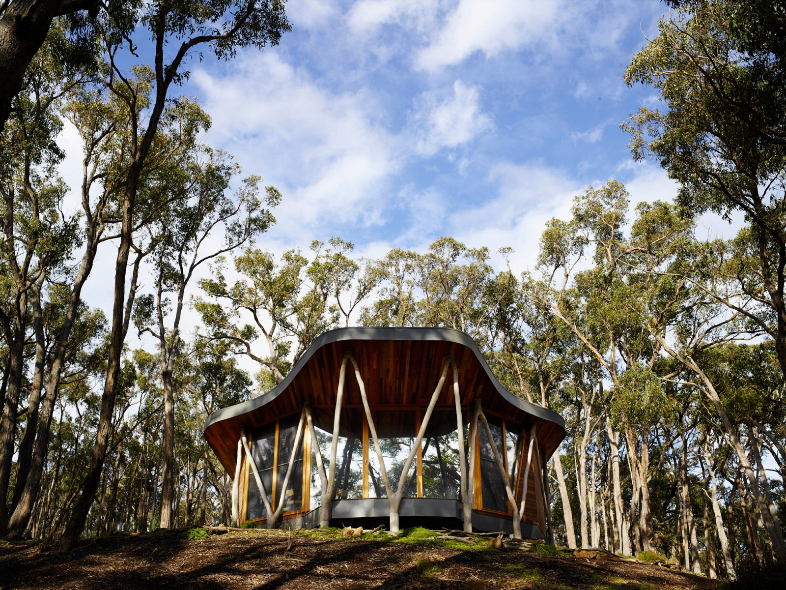 Small wooden house set in Australian bush
