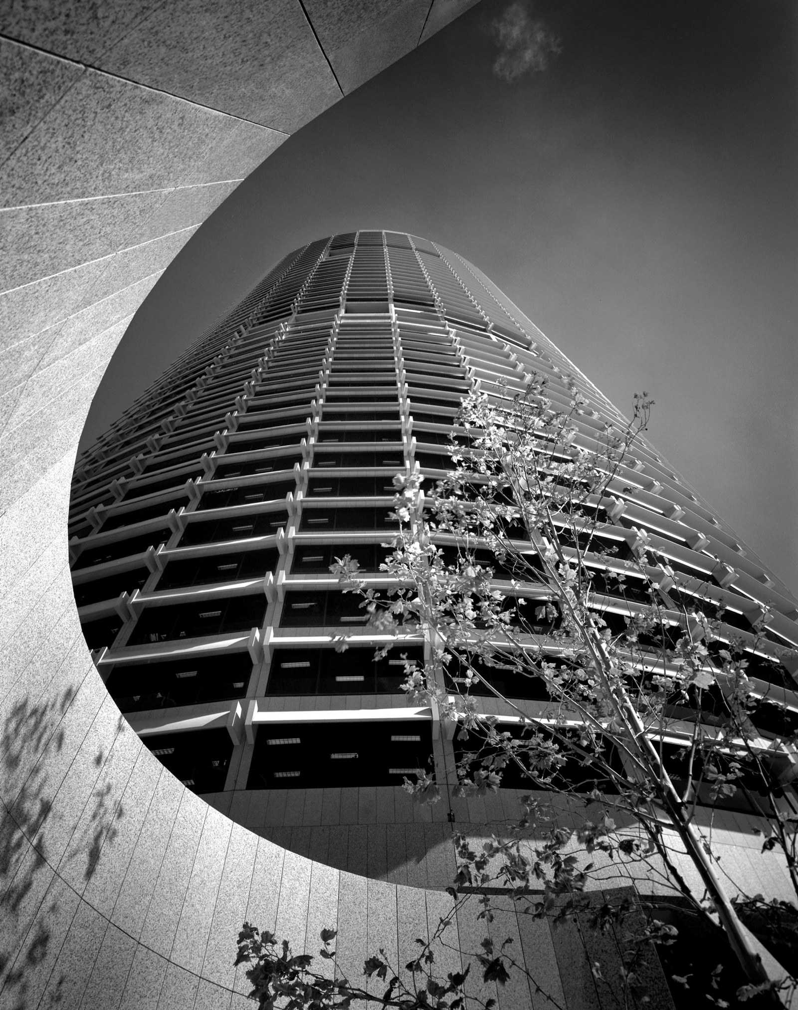 This is a black and white photograph of a tower building taken form below showing a sweeping curved wall at the base