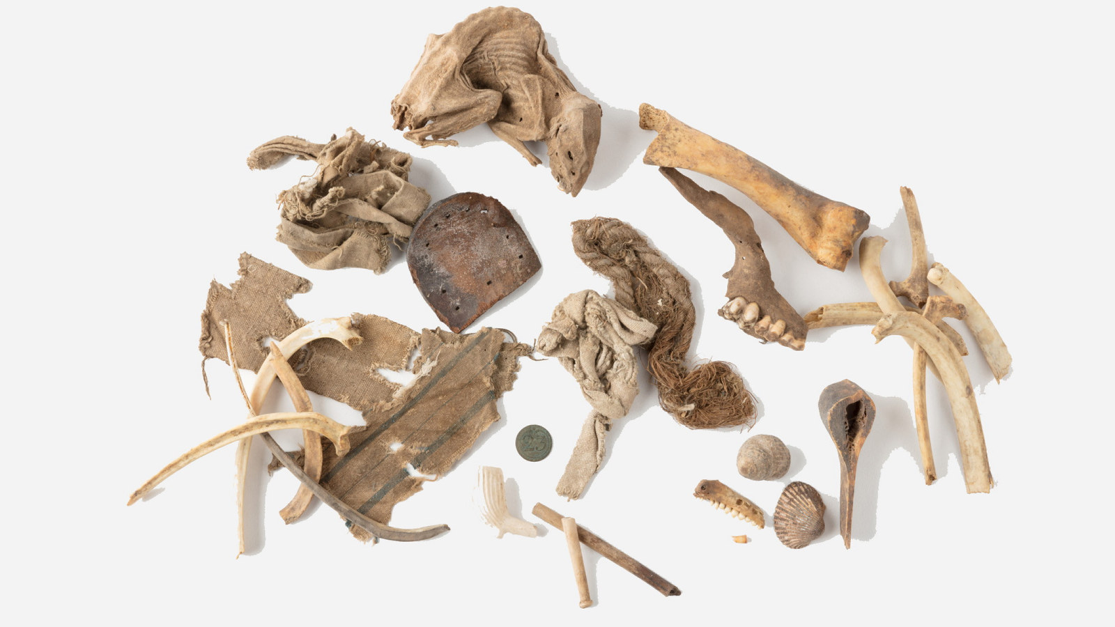 Assorted fragments of cloth, bones, teeth, pipes, a rat, shells, rope and a coin found under the floor at Hyde Park Barracks during the Convict period