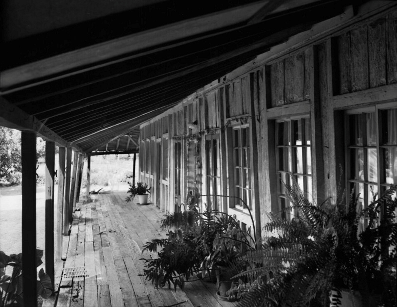Northern verandah and timber slab walls at Cressbrook homestead, Cressbrook, Queensland, 1968