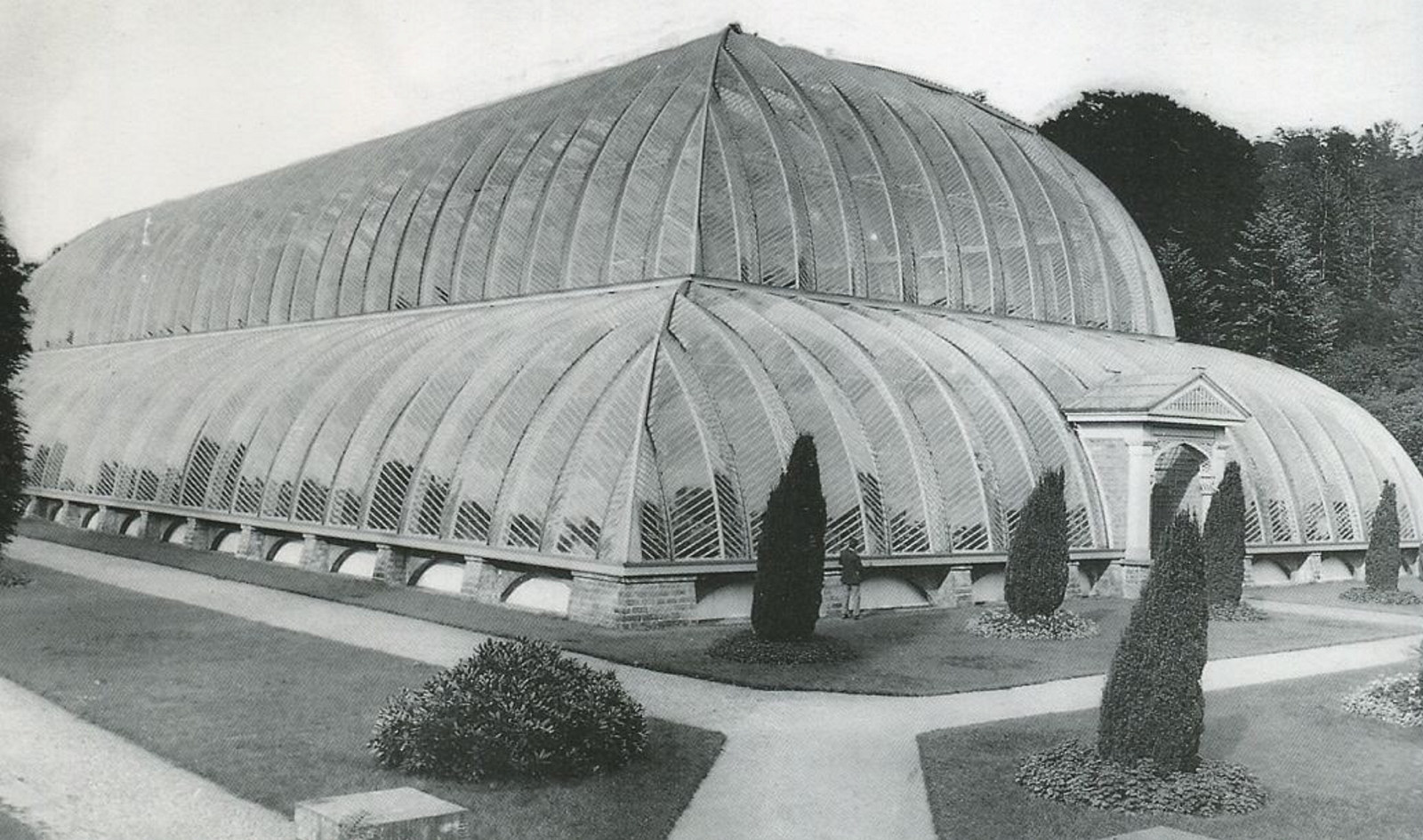 photo of the 'Great Stove' Conservatory at Chatsworth, which is a large glass building with some small shrubs around it.