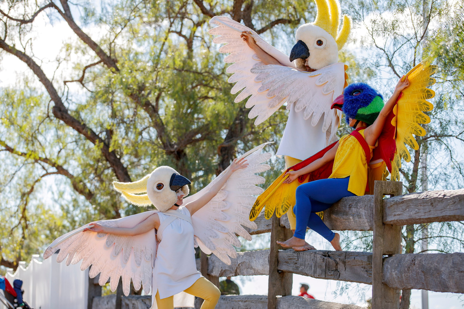 Performers dressed as native Australian birds at Rouse Hill House & Farm