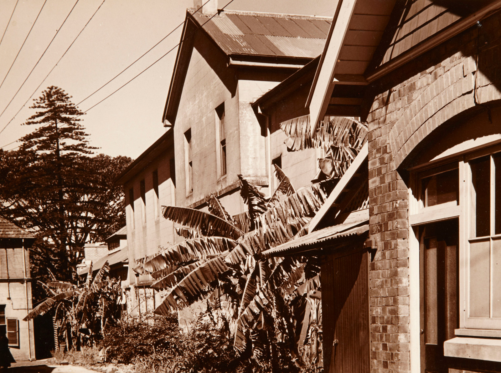 B/W photo of old 2 storey buildings with overgrown banana palms and shrubs in the front.