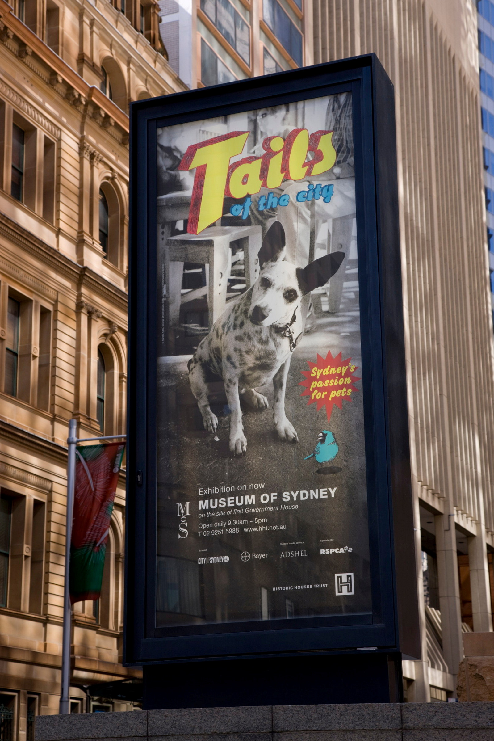 Tails of the city: Sydney's passion for pets installation view