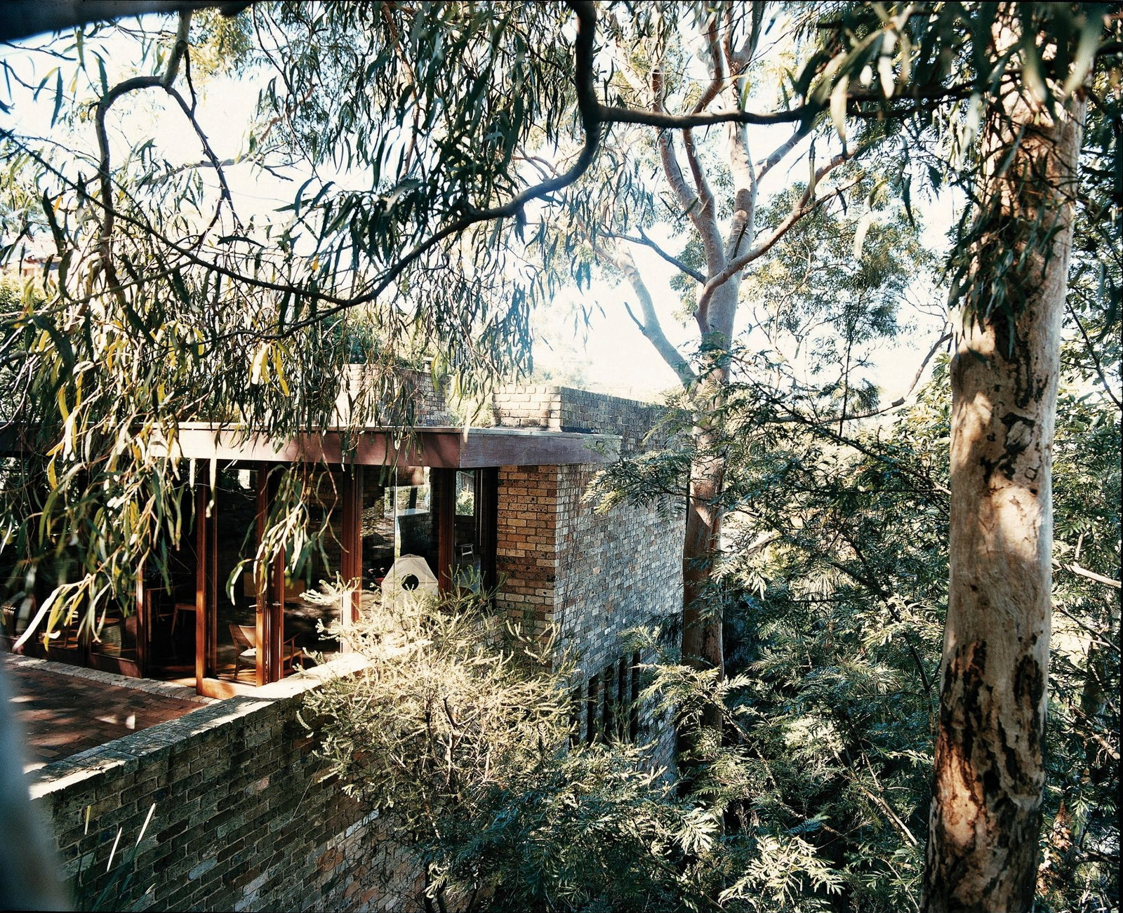 This is a photograph of a light coloured brick house set among native plants and trees