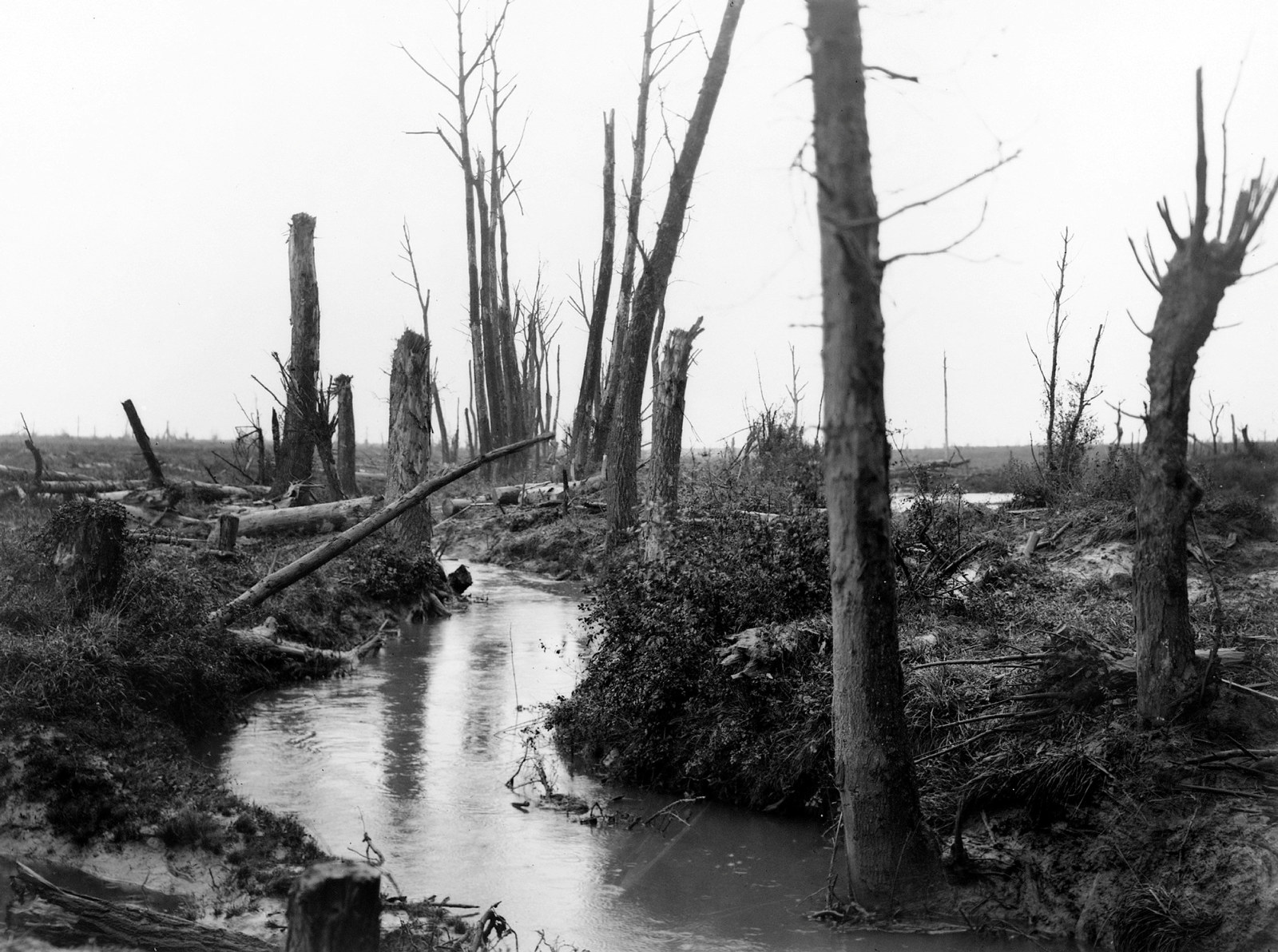 A view of the Douve River looking towards La Potterie farm south of the river between Ploegsteert Wood and Mesen (Messines) in Belgium, 11 November 1917
