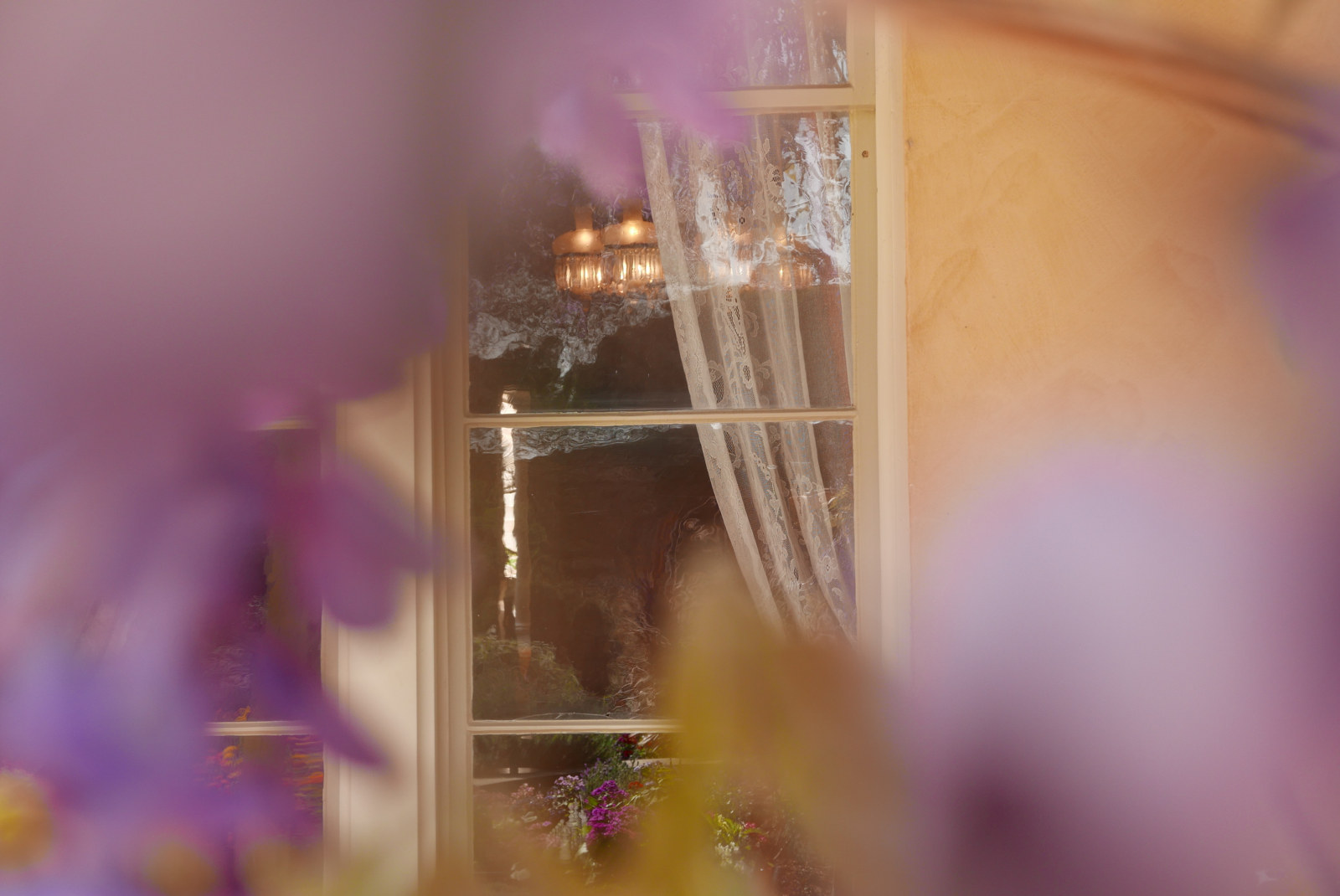 Looking through the wisteria into the Vaucluse House drawing room