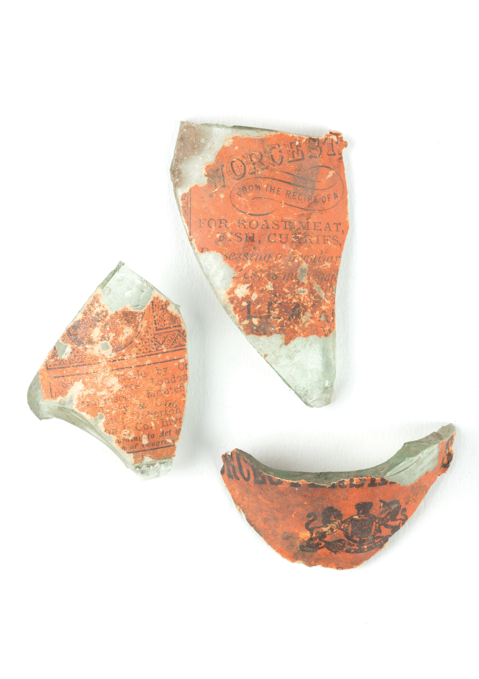 Fragments of Worcestershire sauce bottle