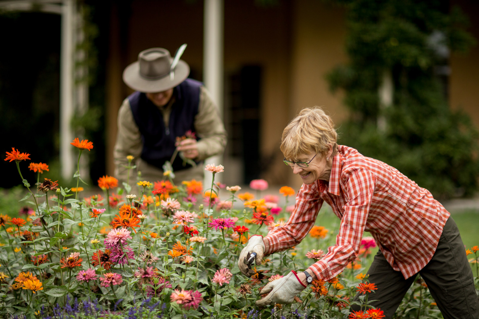 Volunteer Susan Smith and gardener Stuart Macpherson gardening at Vaucluse House 
