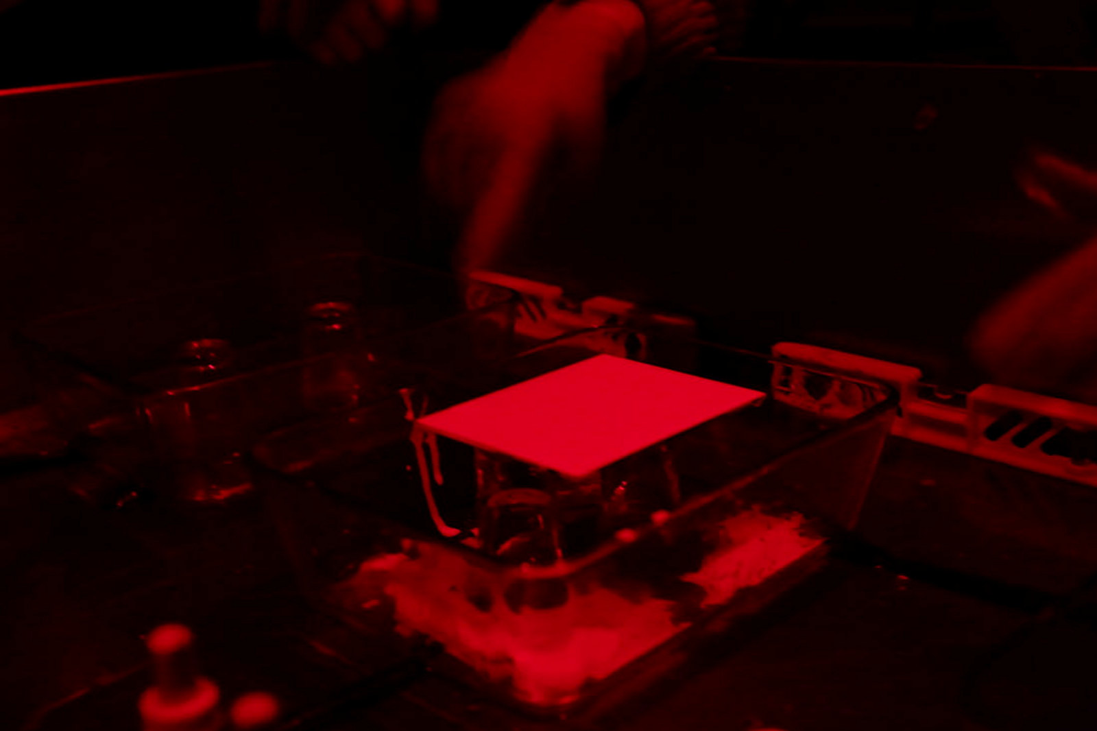 Closeup of emulsion under red light.