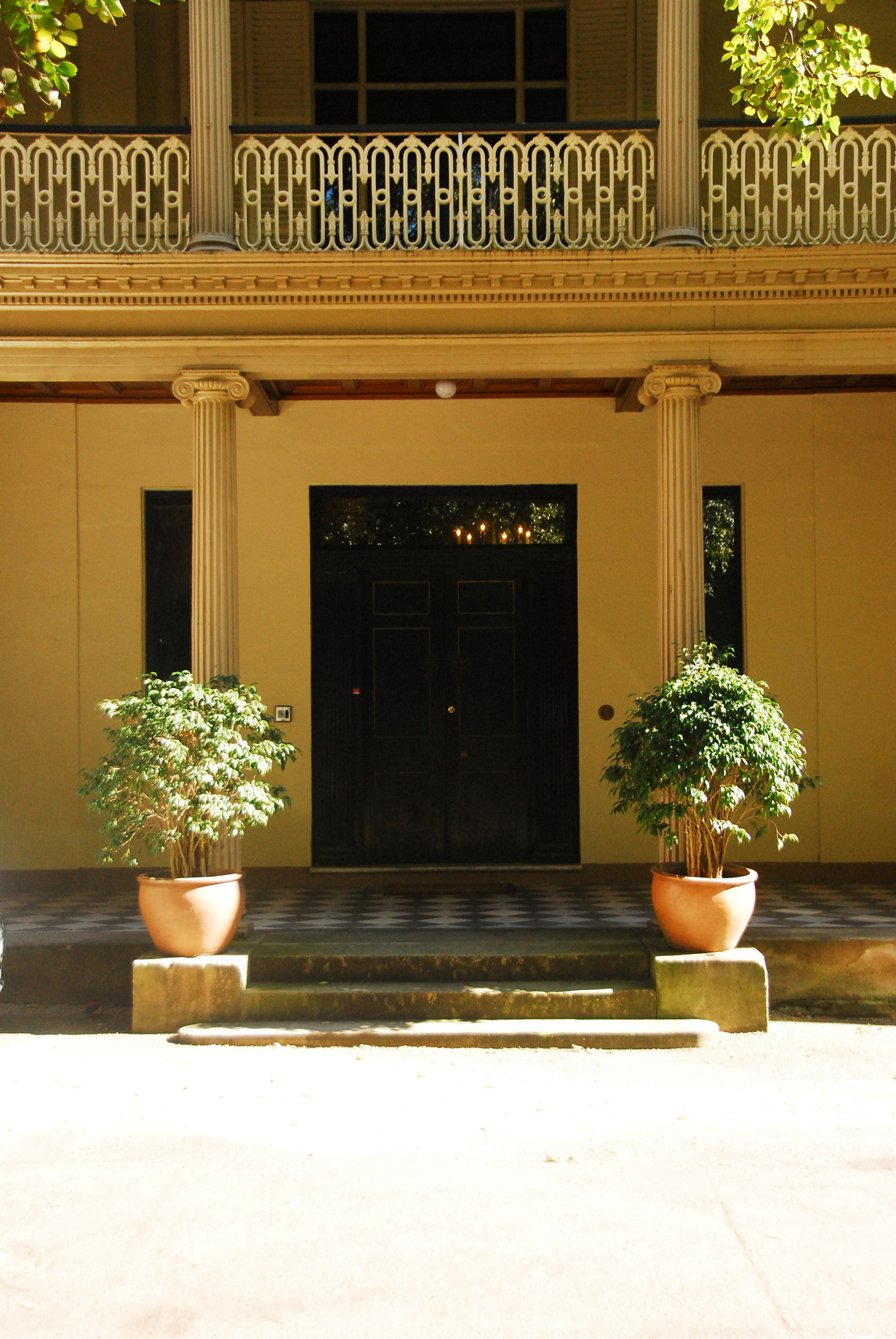Front entrance to building flanked by columns, with two matching bushes in pots in front.
