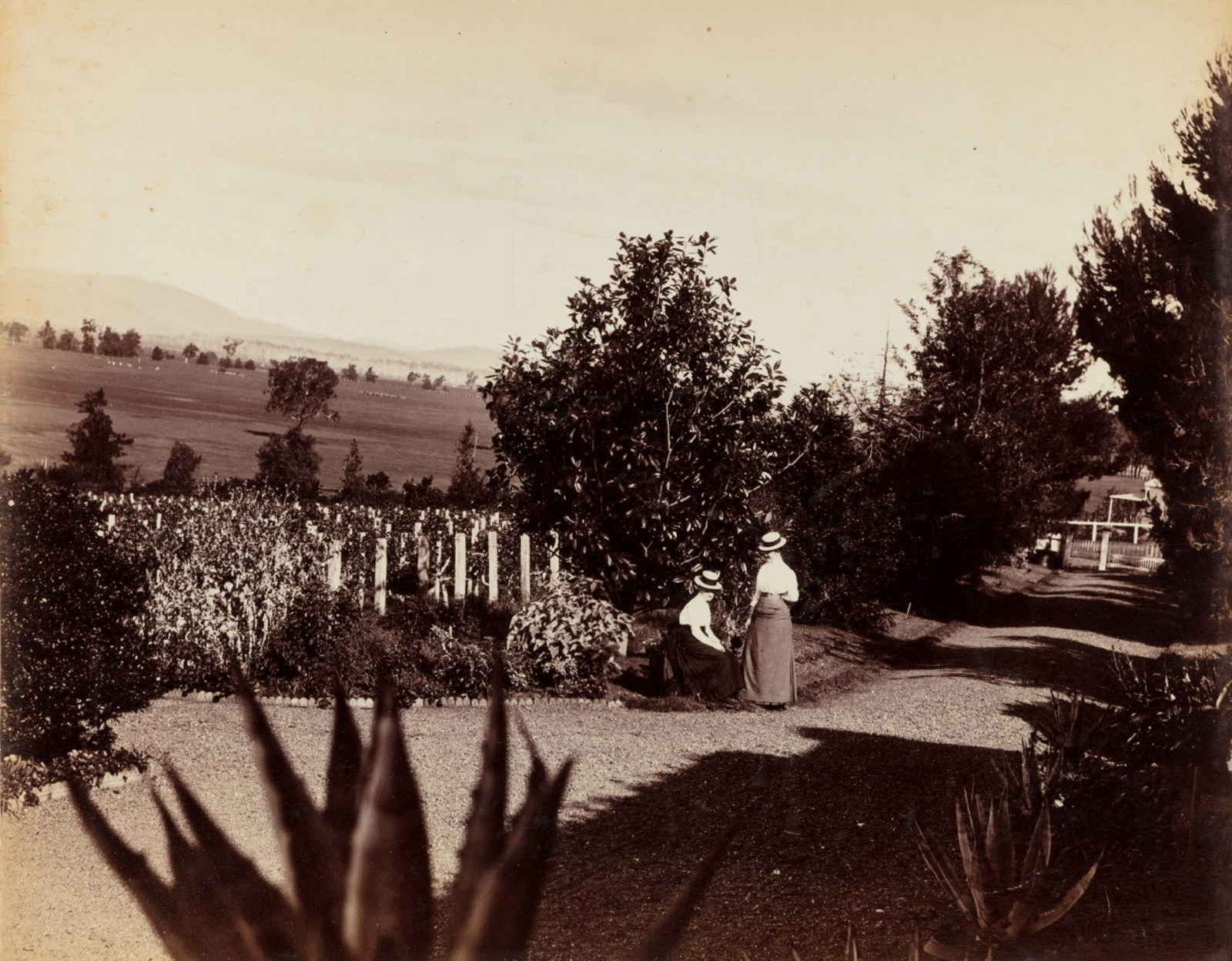 Fifth panel of a five part photographic panorama of Turanville near Scone / photographed by Joseph Check, 1889