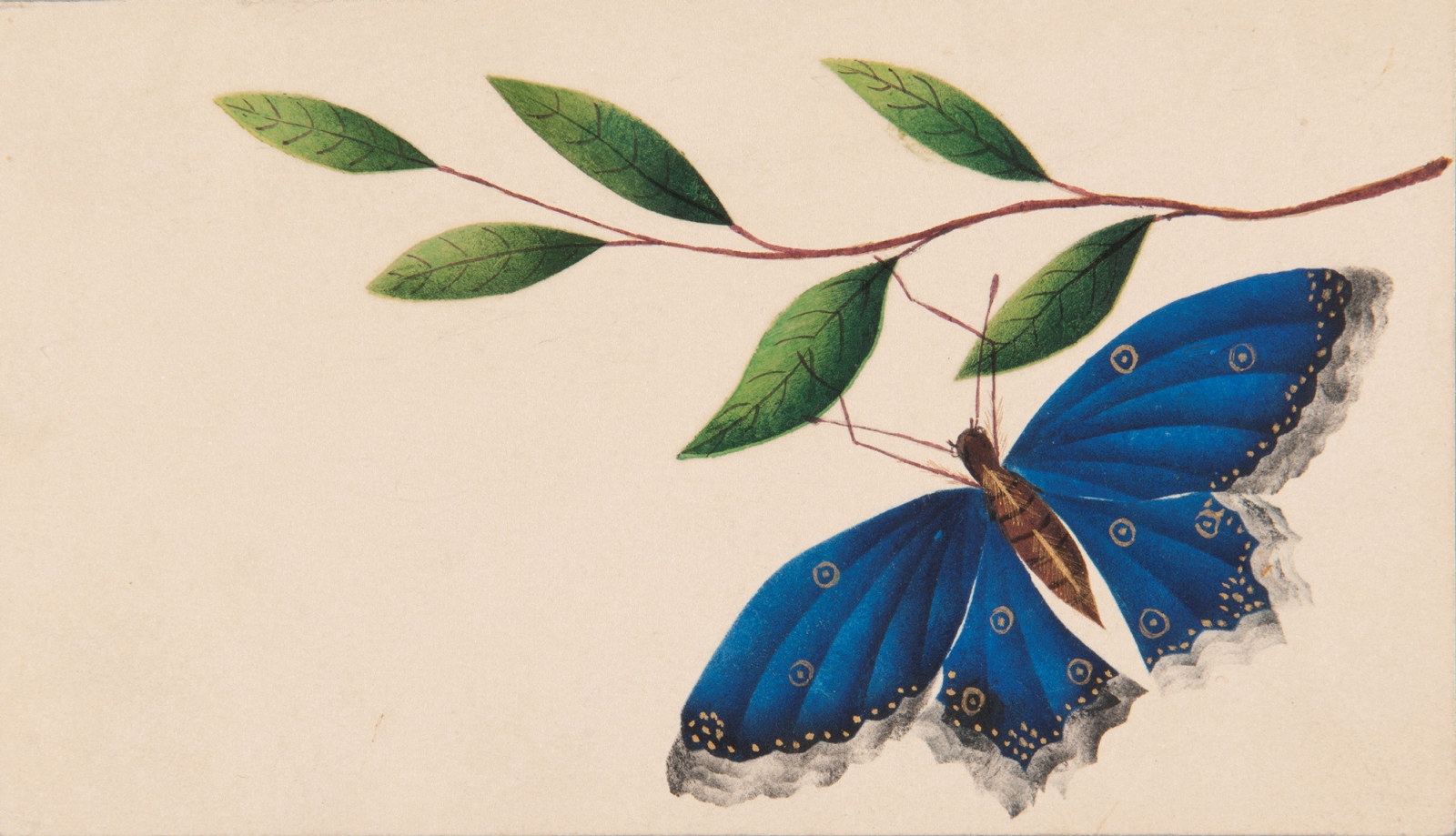 Butterfly and branch: theorem or poonah painting