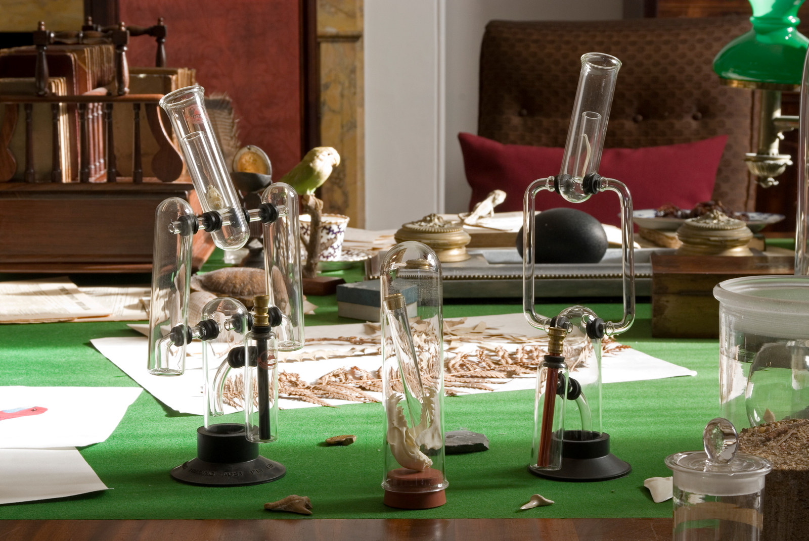 Glass objects that a 19th century specimen collector would have used
