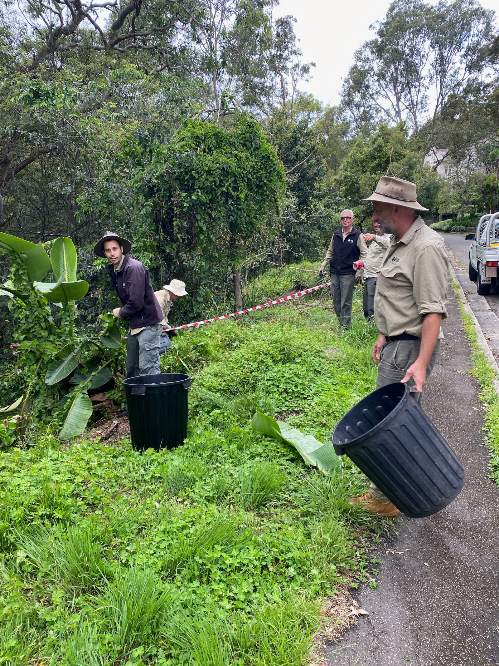 the Gardens Team of Sydney Living Museums work on the bush curtilage of Vaucluse house, they are filling bins with weed species.