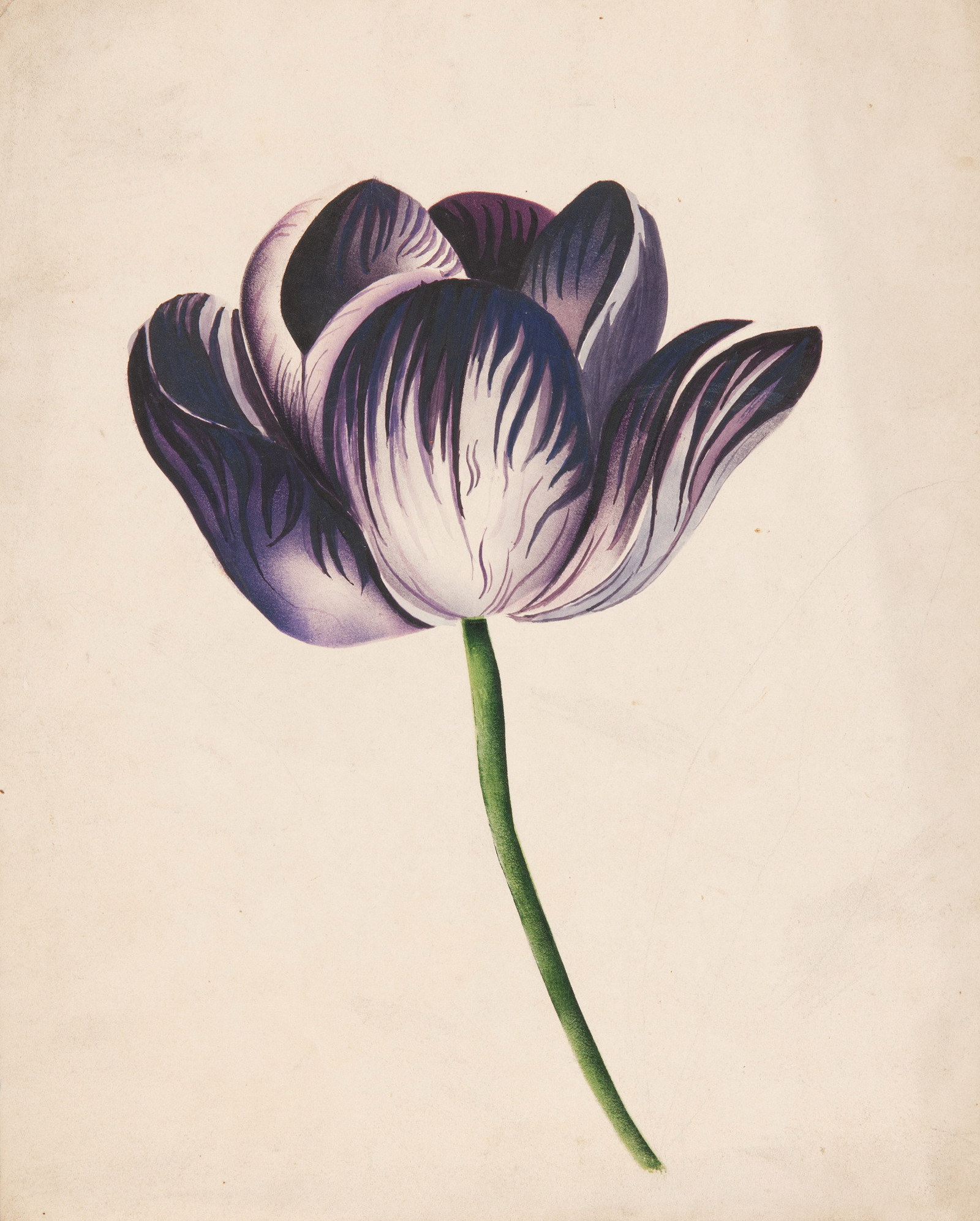 Flower study poonah painting