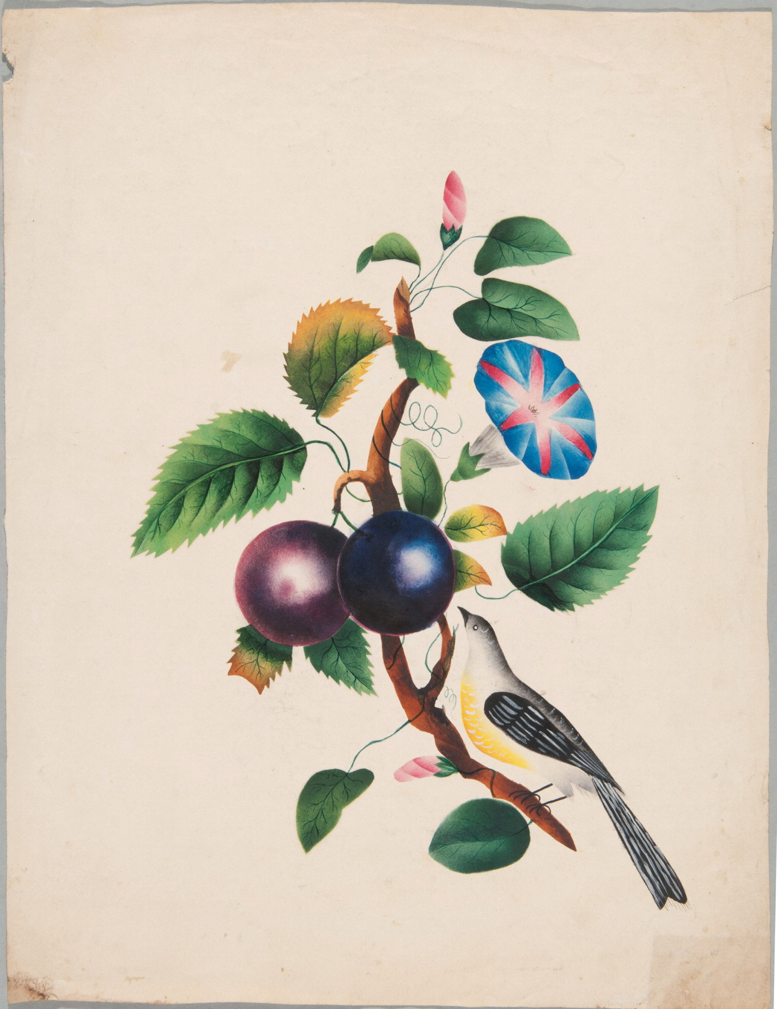 Bird and fruiting tree poonah painting