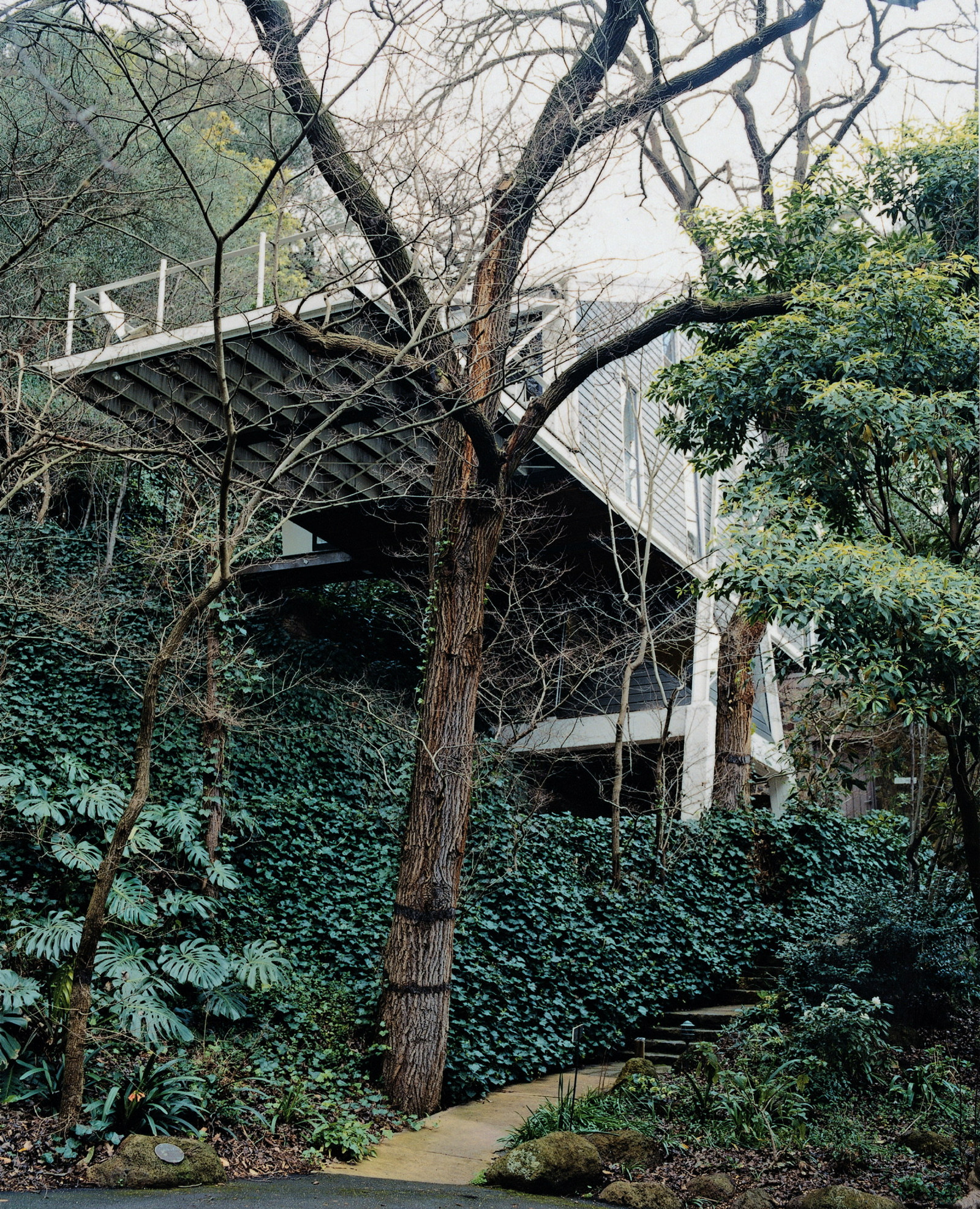 View of the cantilevered balcony of the Butterfly House taken from below