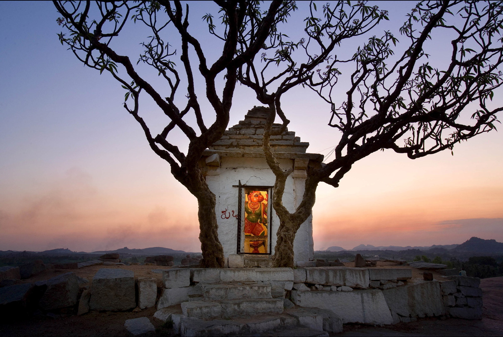 Small structure in tree with sunset behind.