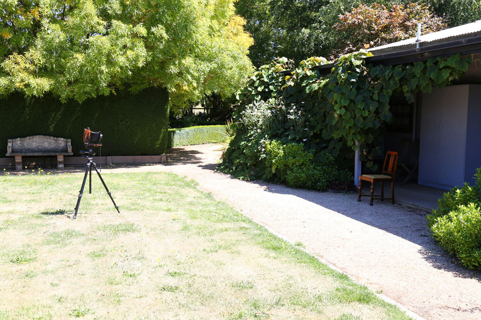 View of camera set up in garden.
