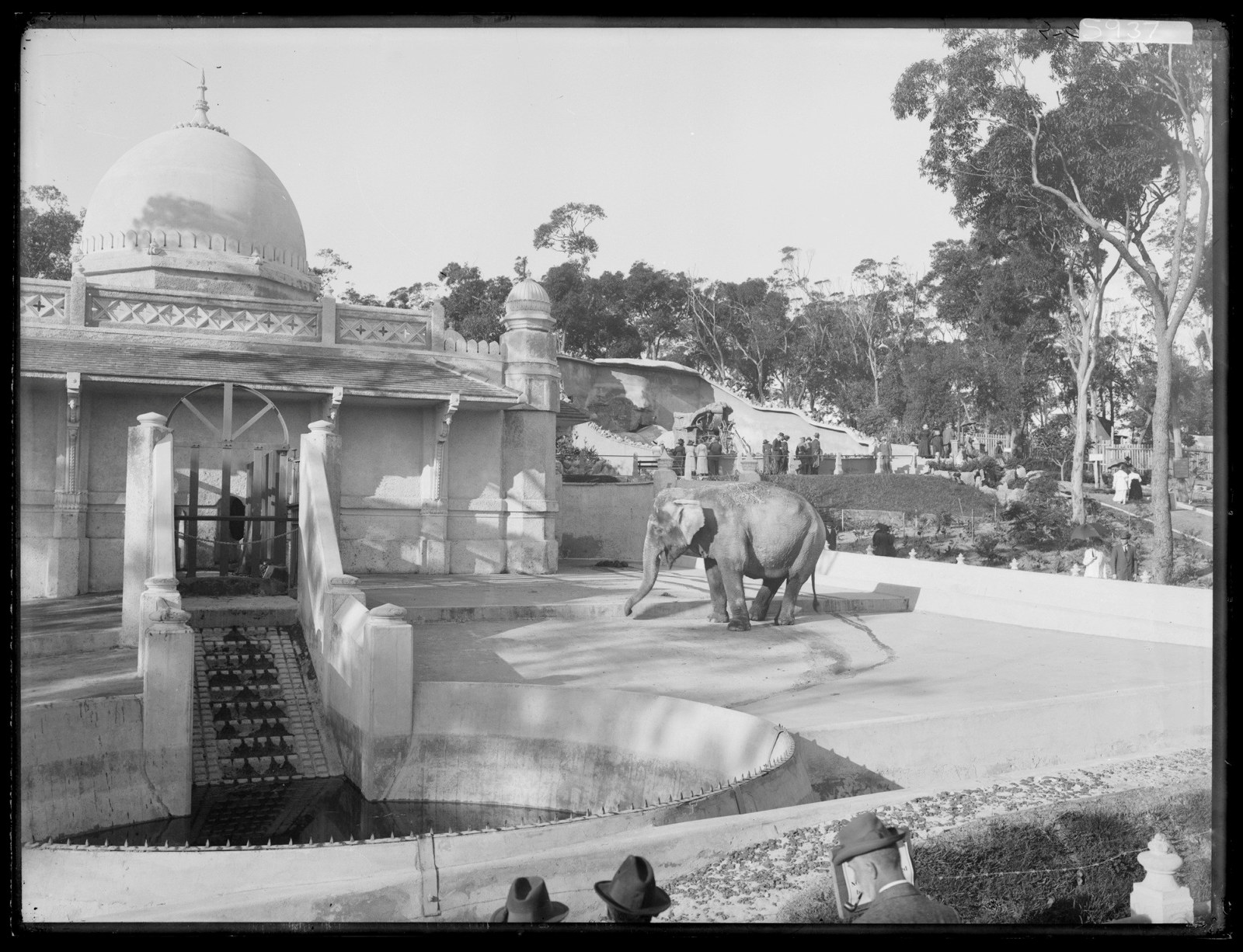 The elephant house, Taronga Park Zoo, 1916, NSW Government Printing Office, NRS4481 [7_16381] ST5937 State Archives of NSW