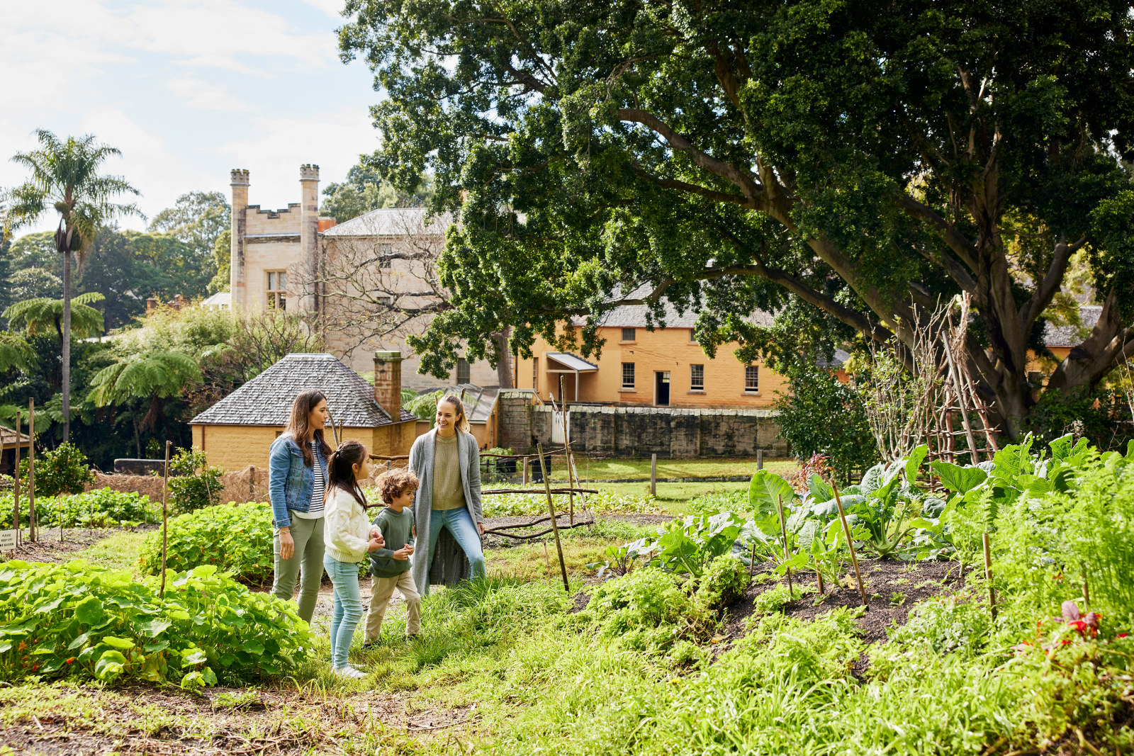 Family wandering through the Kitchen Garden at Vaucluse House