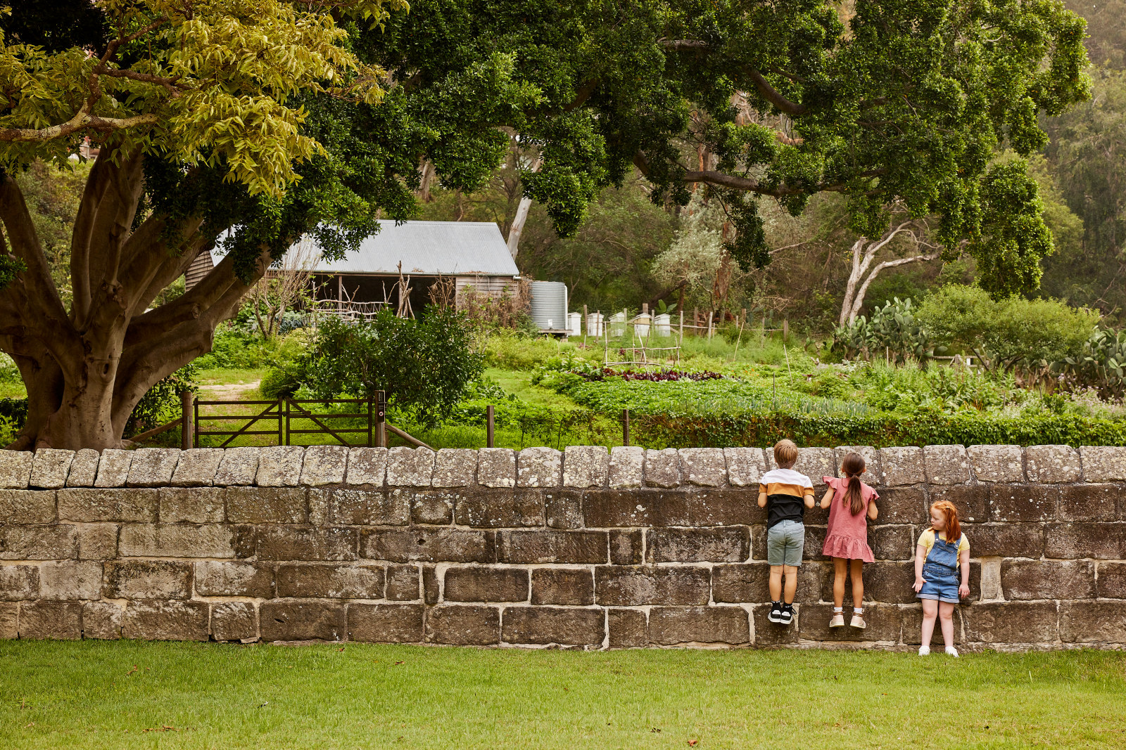 A group of three children in front of the wall in the kitchen courtyard at Vaucluse House