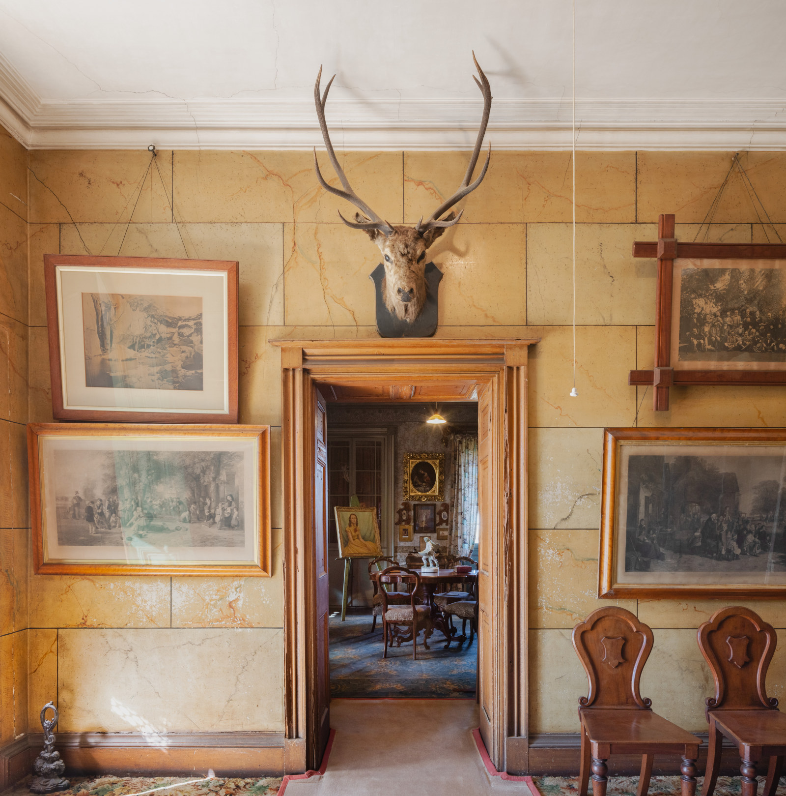 Stag head trophy in the front hall at Rouse Hill Estate