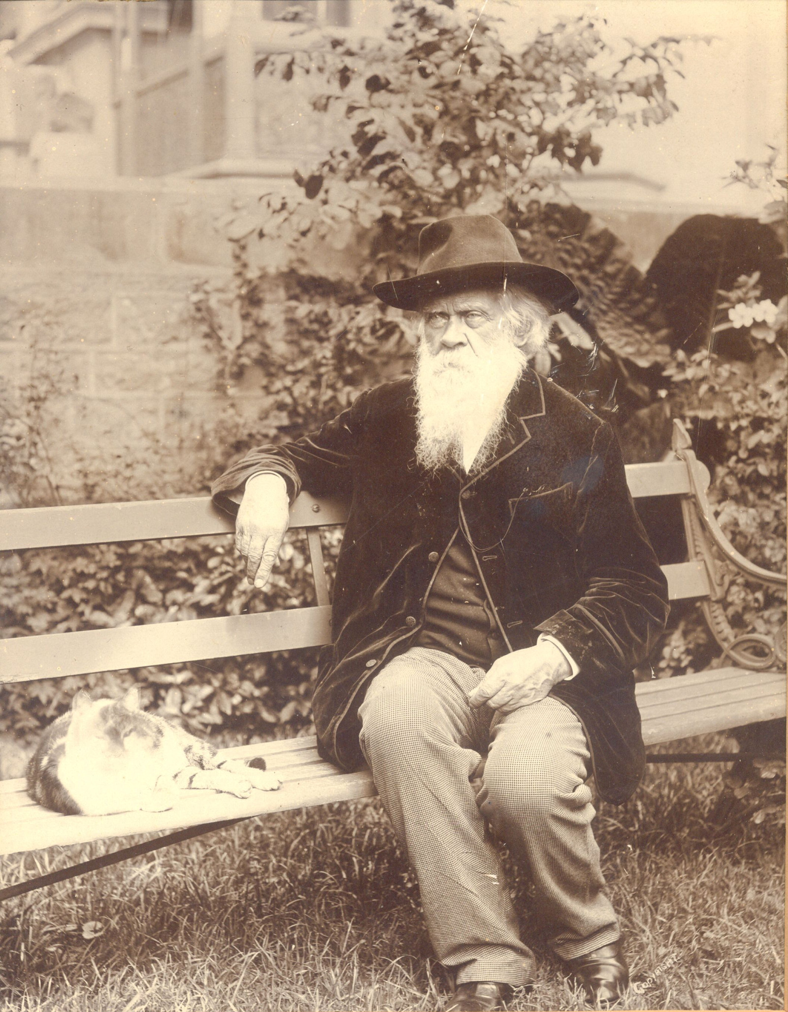 Sepia toned photo of an elderly man with a large flowing beard and hat, seated in a garden on a bench; a cat is seated on the bench on the LHS of the image