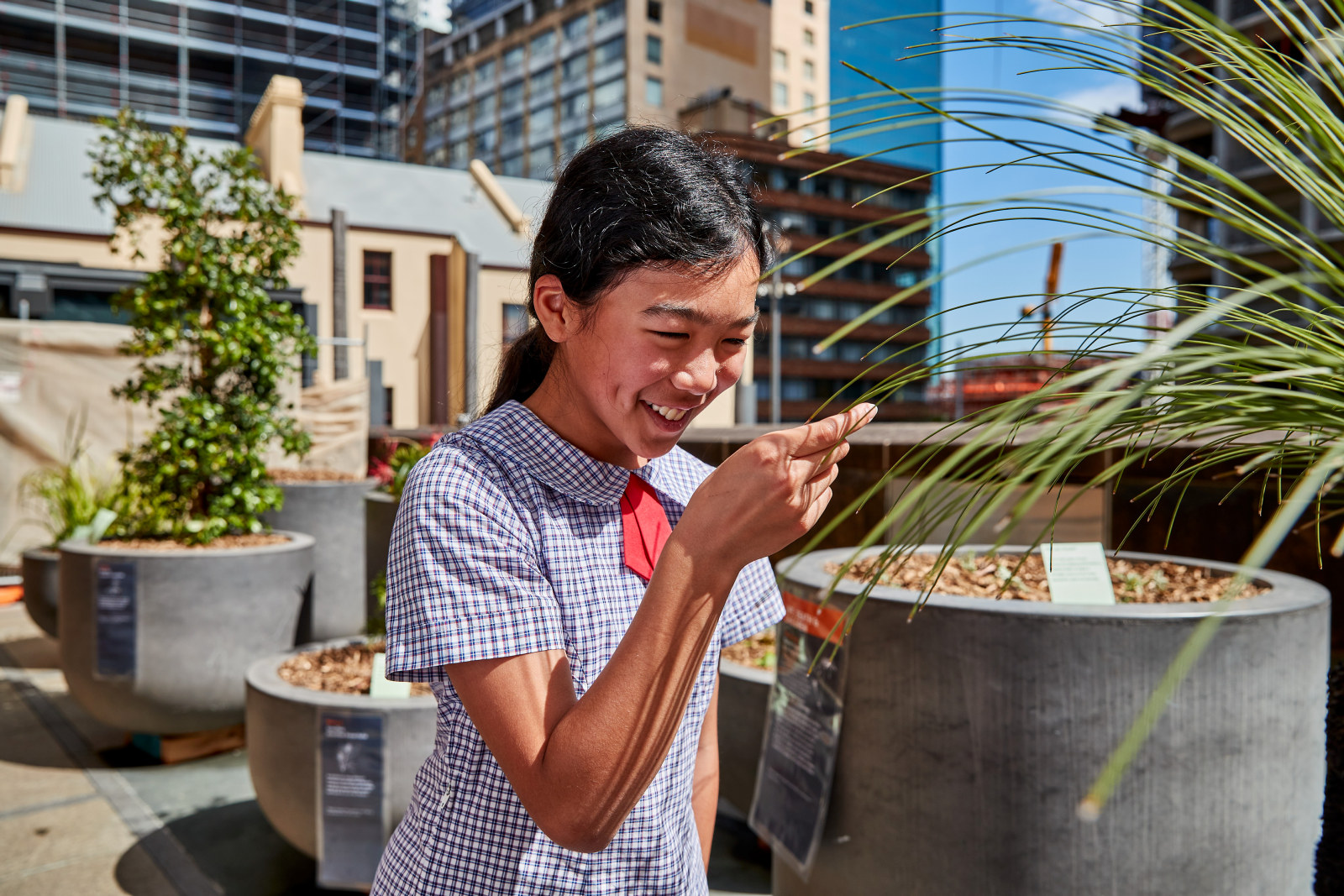 A student examining a grass tree in the Yana Nura Indigenous garden at the Museum of Sydney as part of the Garuwanga Gurad (Stories that belong to Country) program