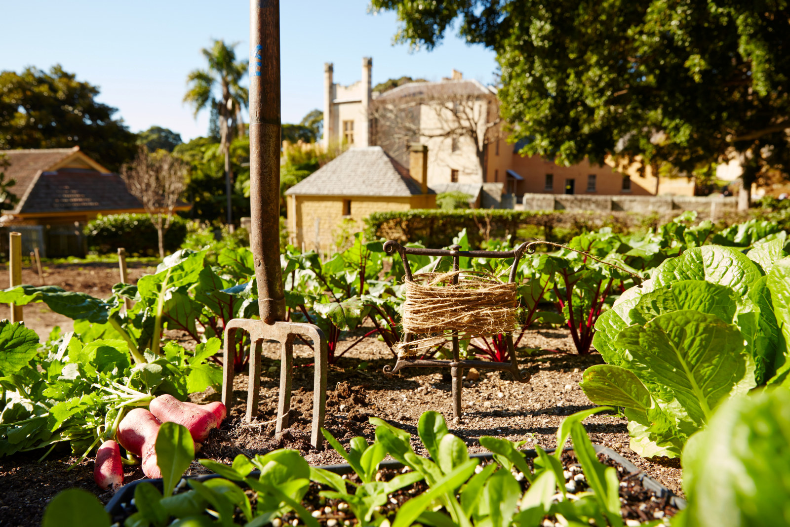 Garden tools in the Kitchen Garden at Vaucluse House 
